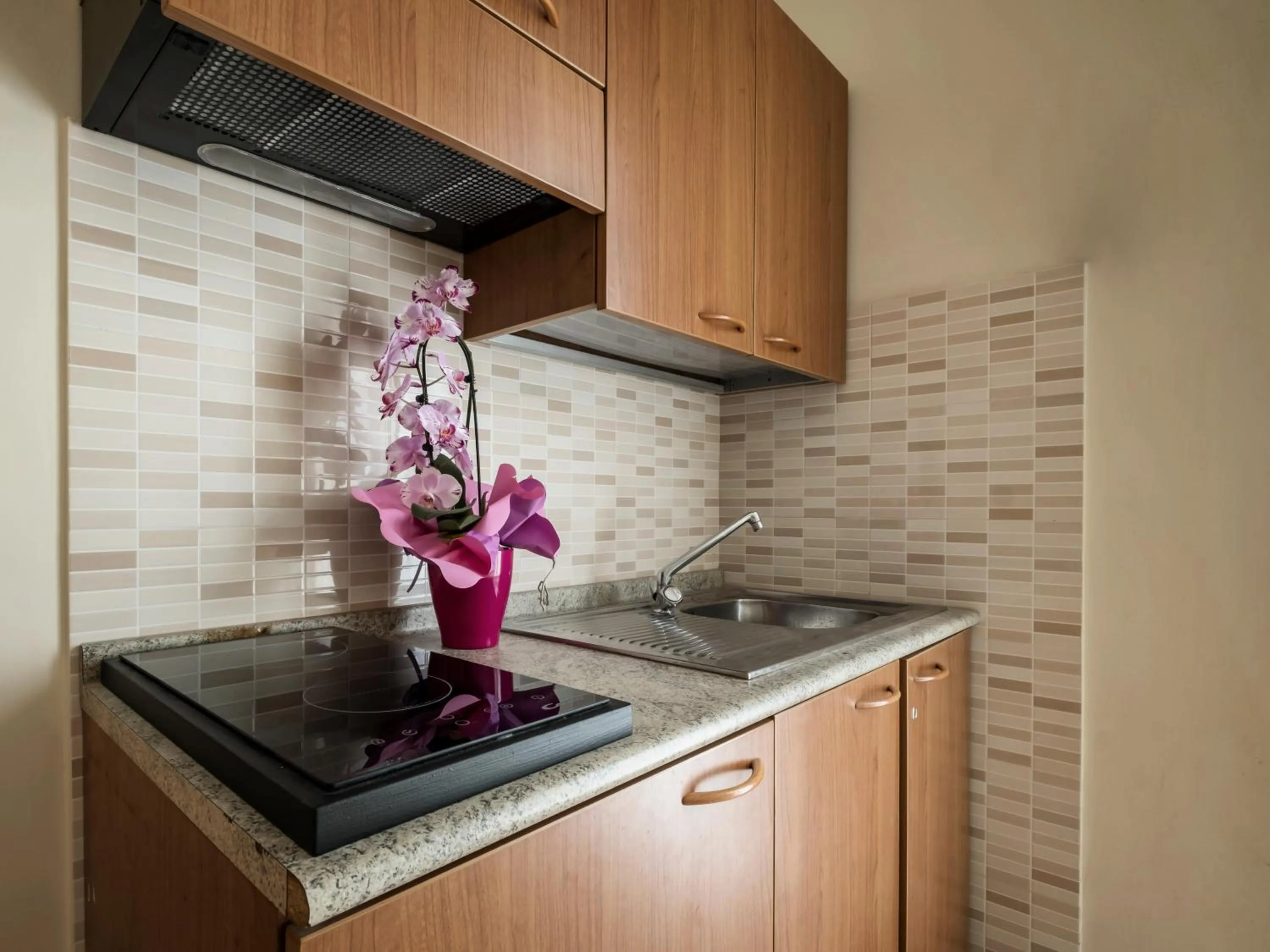 Kitchen or kitchenette in Hotel Bridge