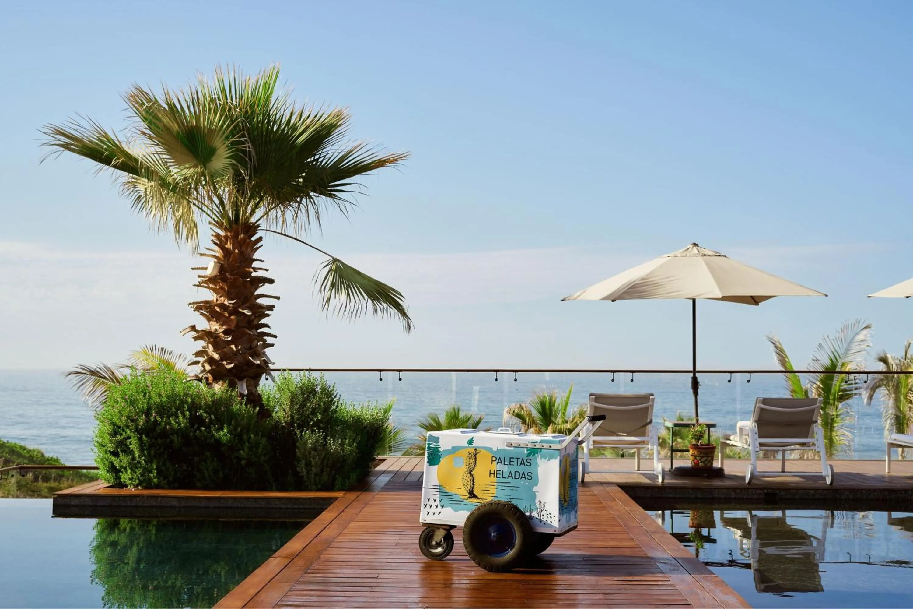 Swimming pool in Zadun Los Cabos, a Ritz-Carlton Reserve