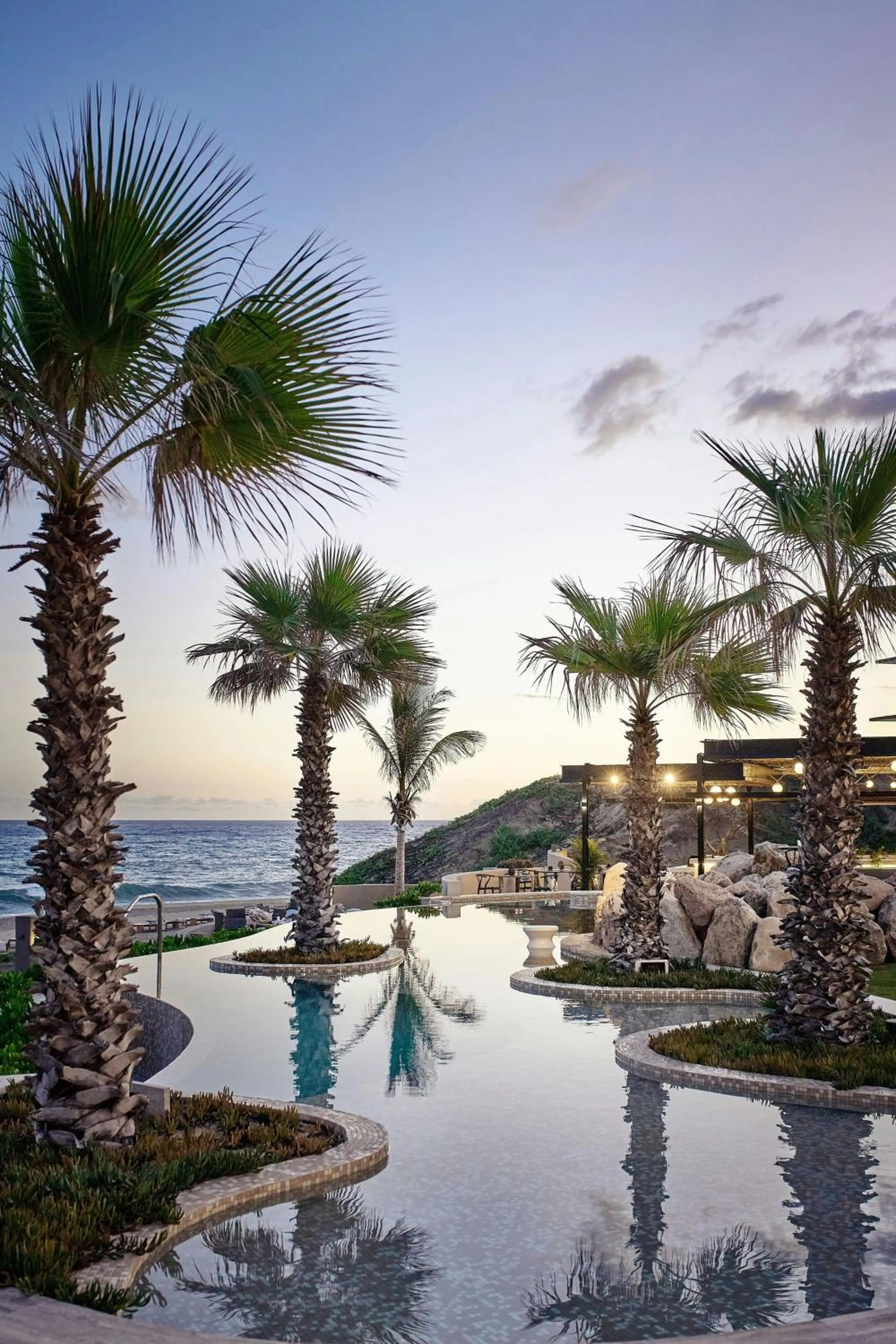 Swimming pool in Zadun Los Cabos, a Ritz-Carlton Reserve