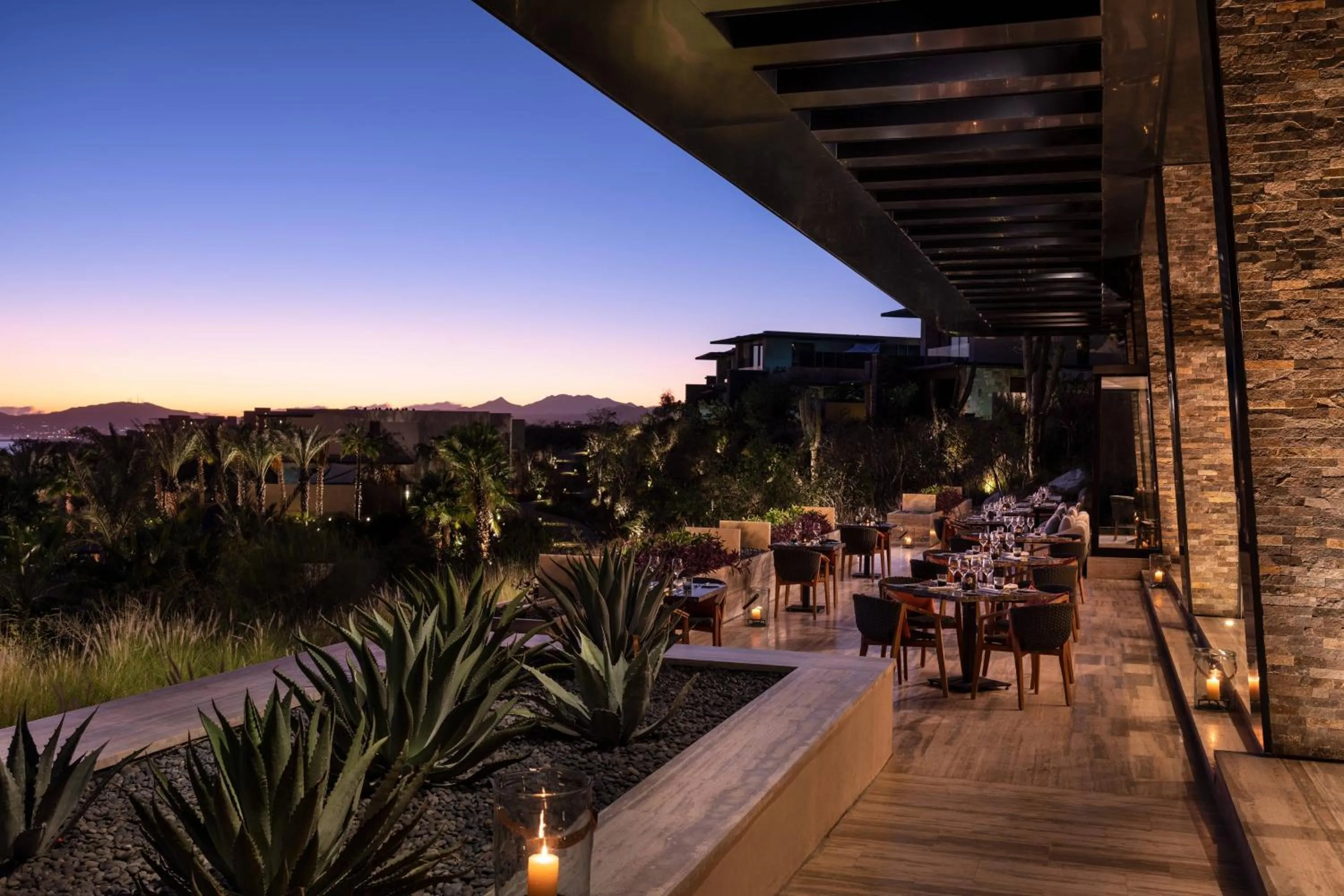 Restaurant/places to eat in Zadun Los Cabos, a Ritz-Carlton Reserve
