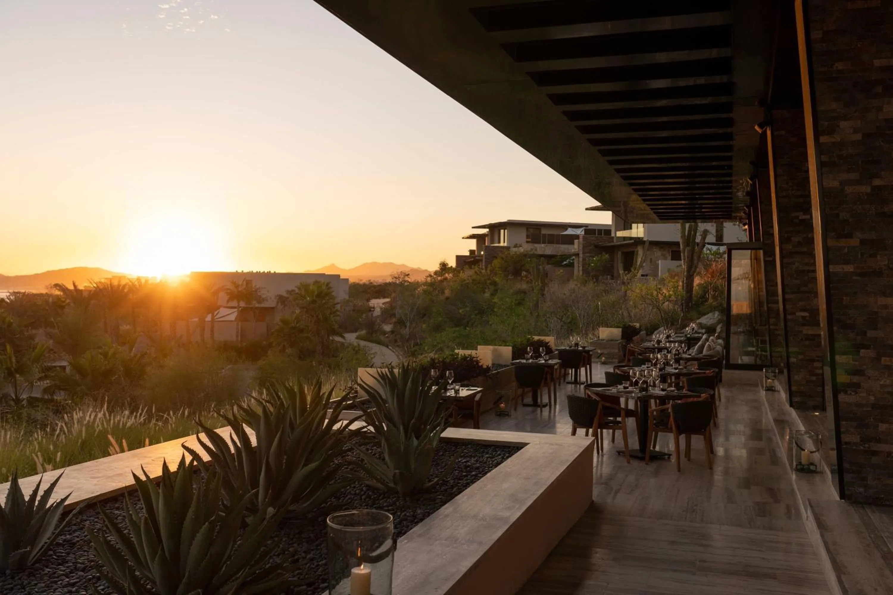 Restaurant/places to eat in Zadun Los Cabos, a Ritz-Carlton Reserve