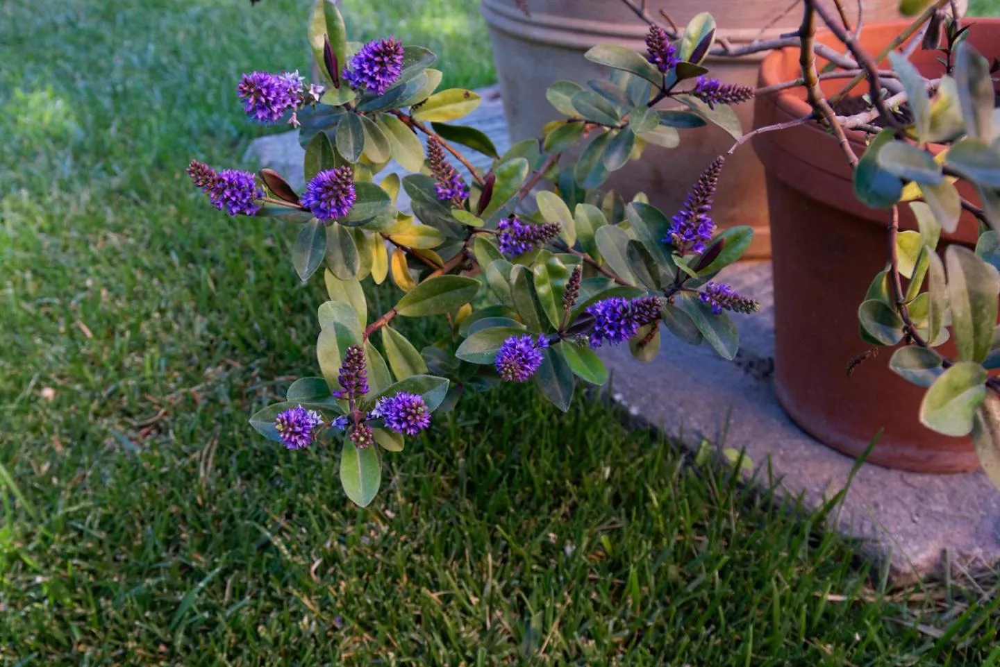 Decorative detail in Bed & Breakfast Bel Giorgio
