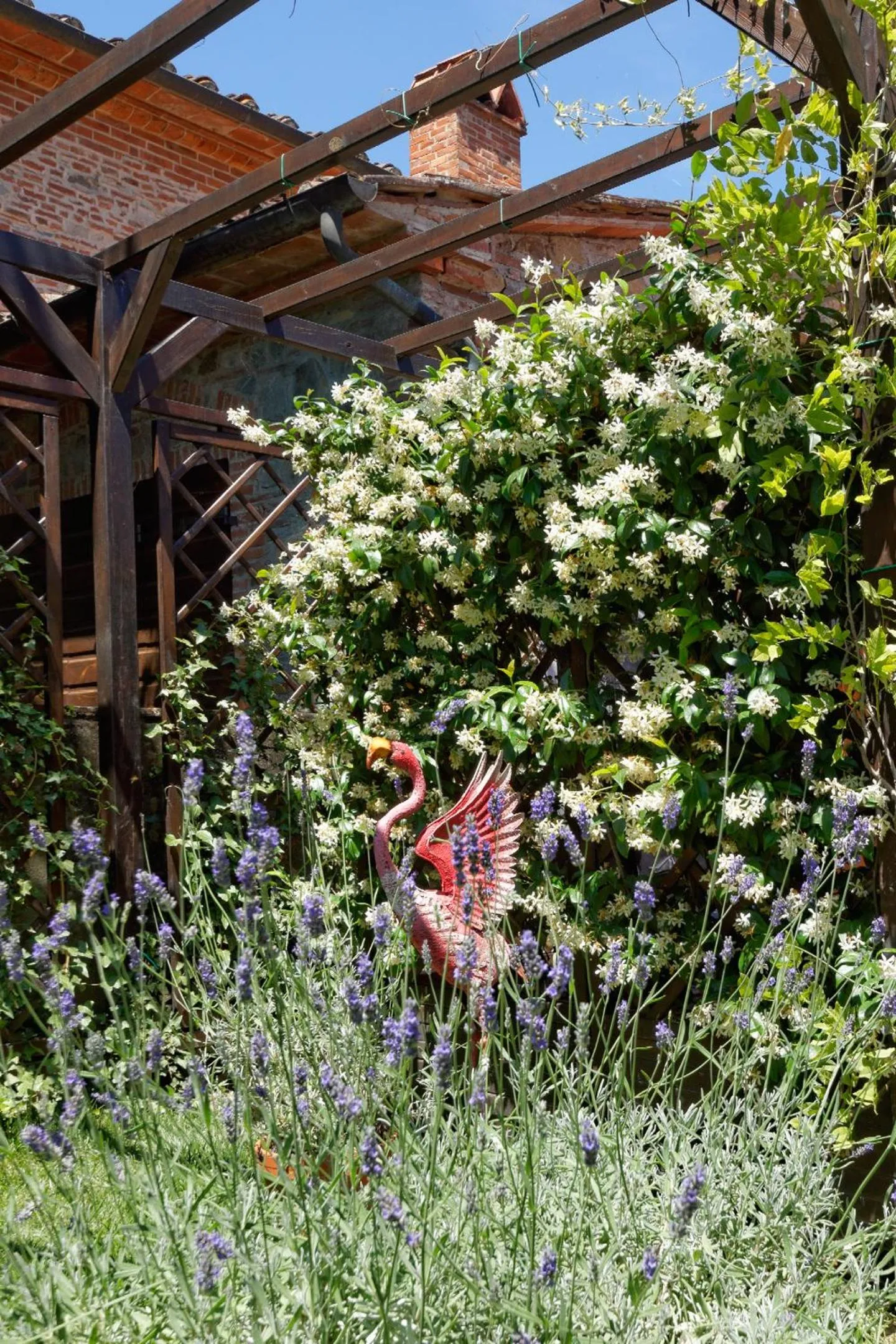 Garden in Bed & Breakfast Bel Giorgio