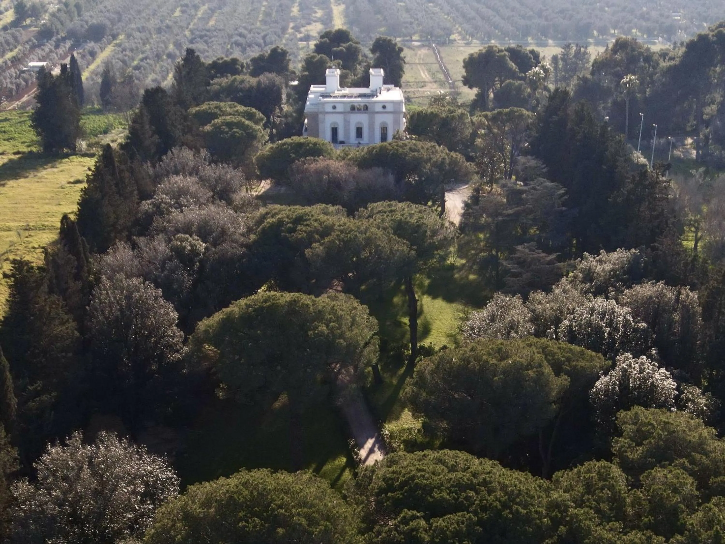 Property building in Sa Suites