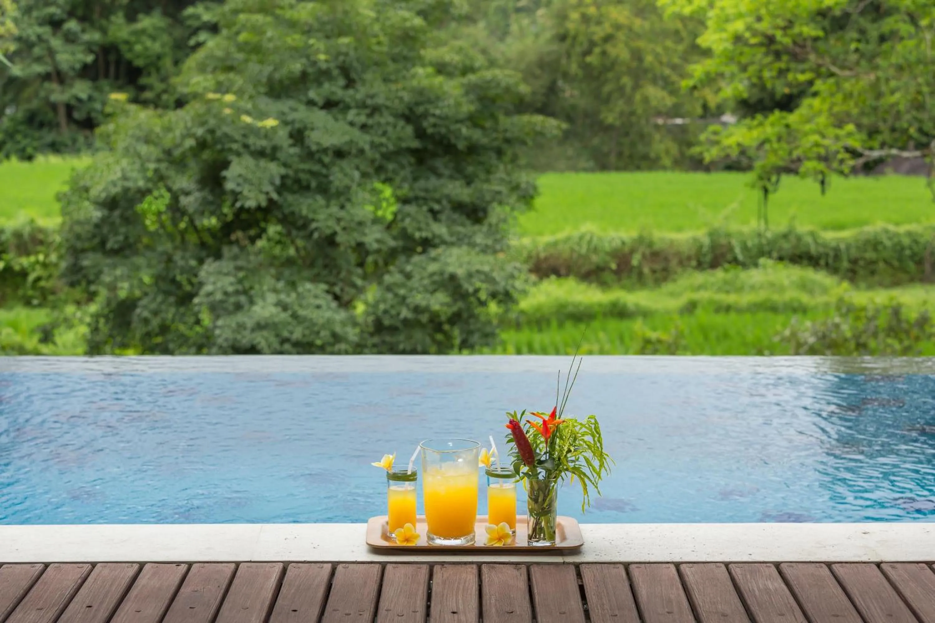 Swimming pool in Villa Atap Padi by Nagisa Bali