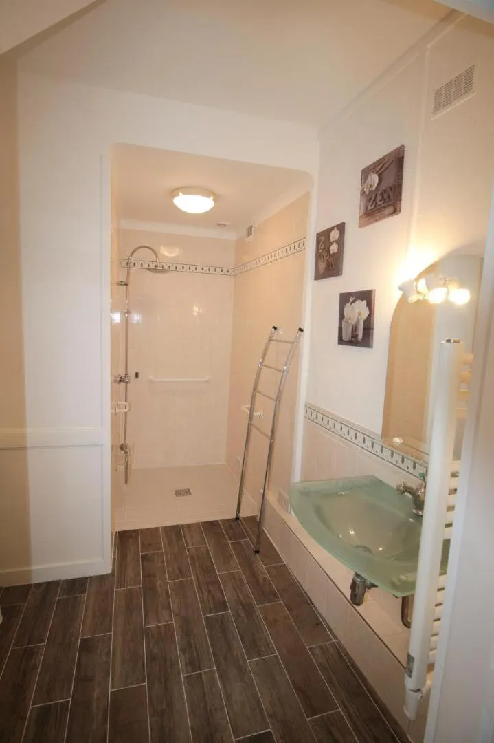 Bathroom in Hôtel Au Clos Paillé La Roche Posay