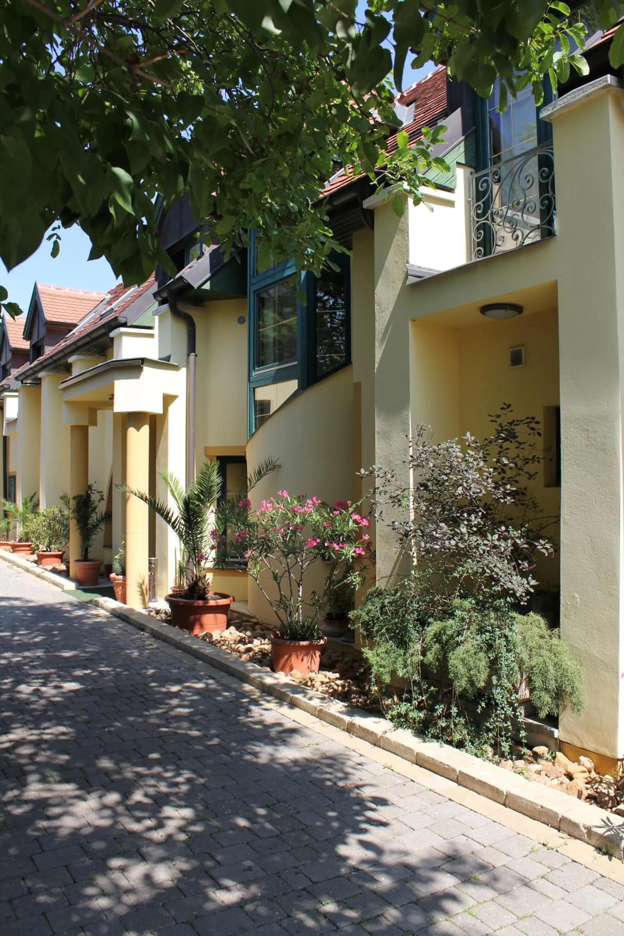 On site in Levanda Panzió