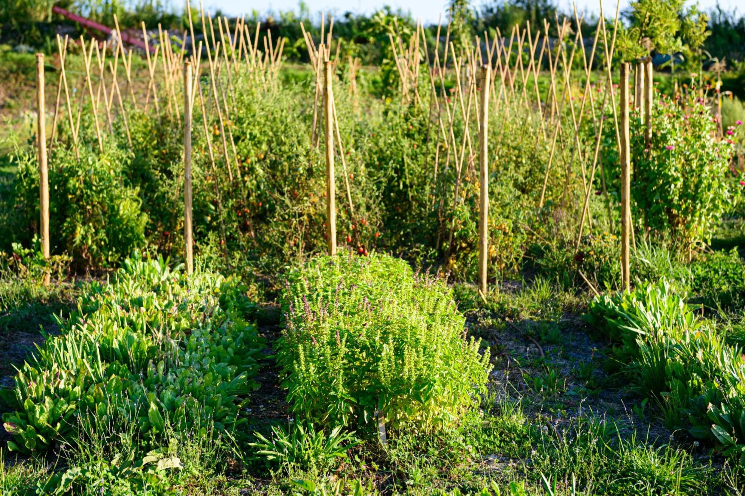 Property building in Borgo Antichi Orti Assisi