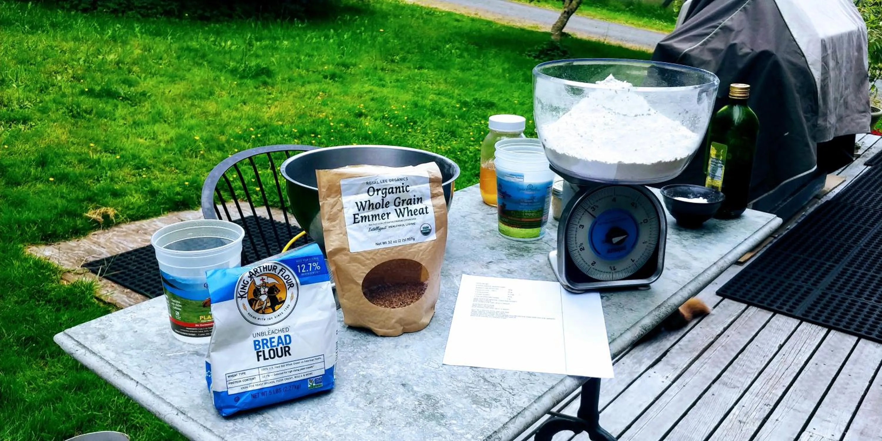 Activities in Nettles Farm