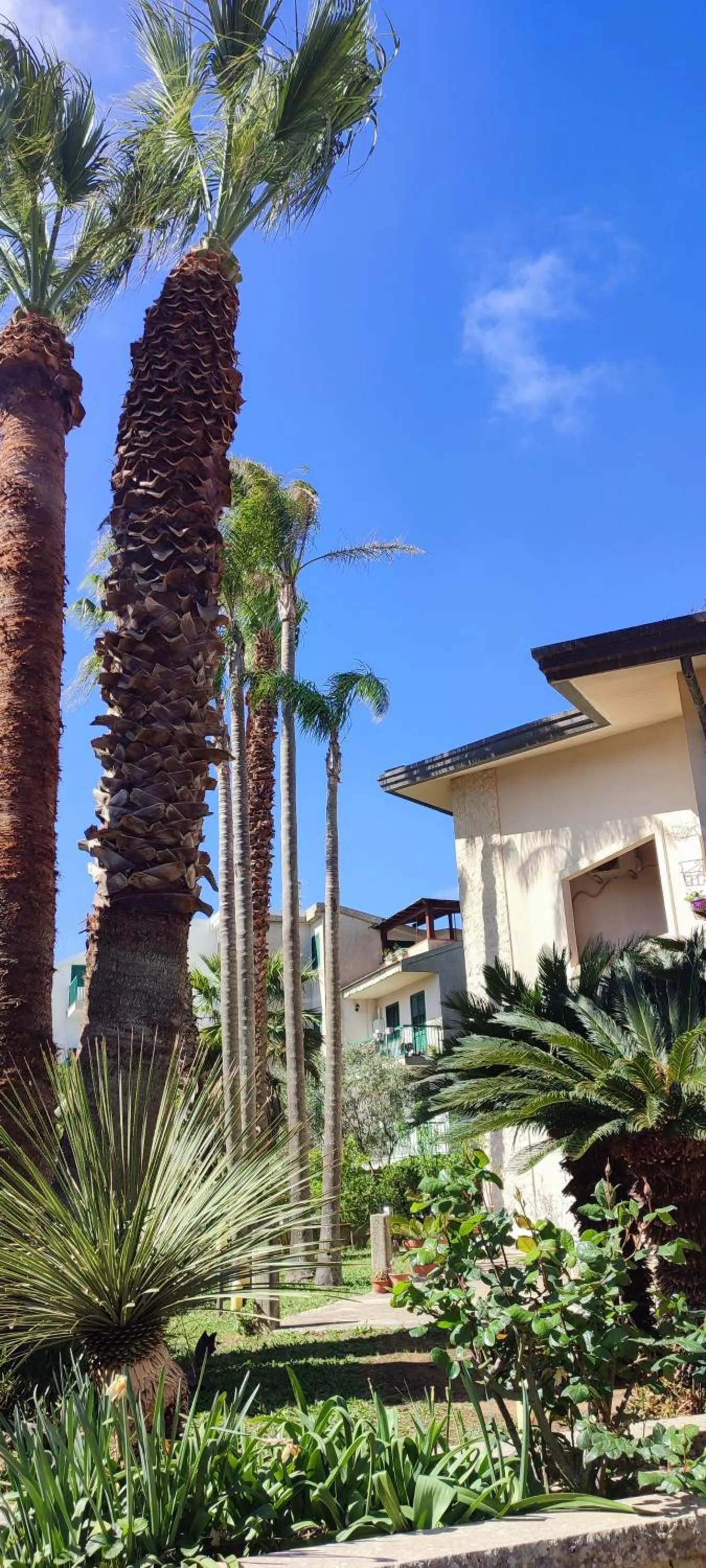 Garden in B&B Villa Victoria