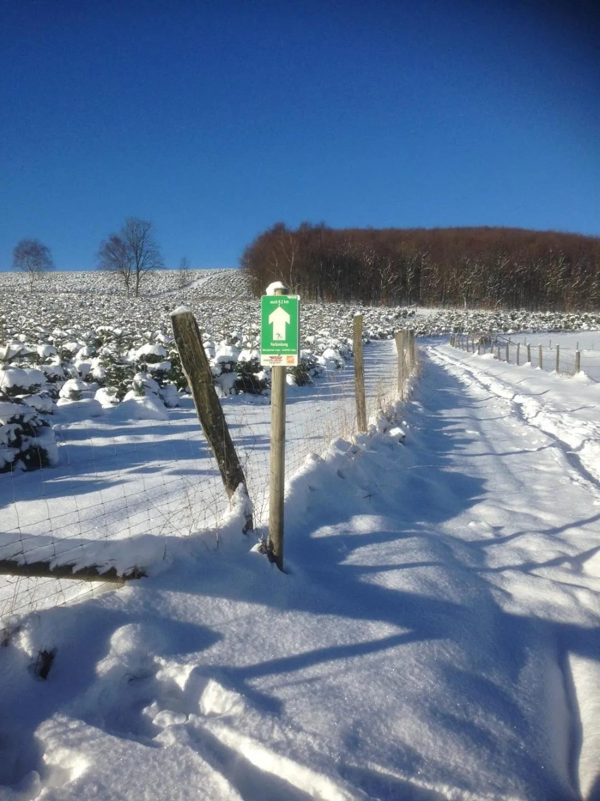 Skiing in Gasthof Westfeld