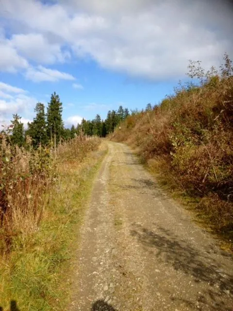 Hiking in Gasthof Westfeld