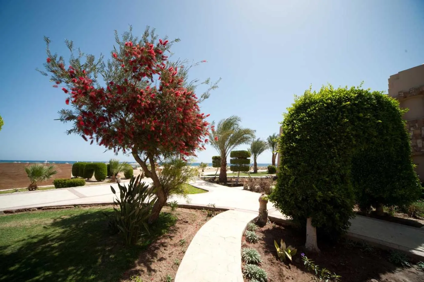 Garden in Shams Alam Beach Resort
