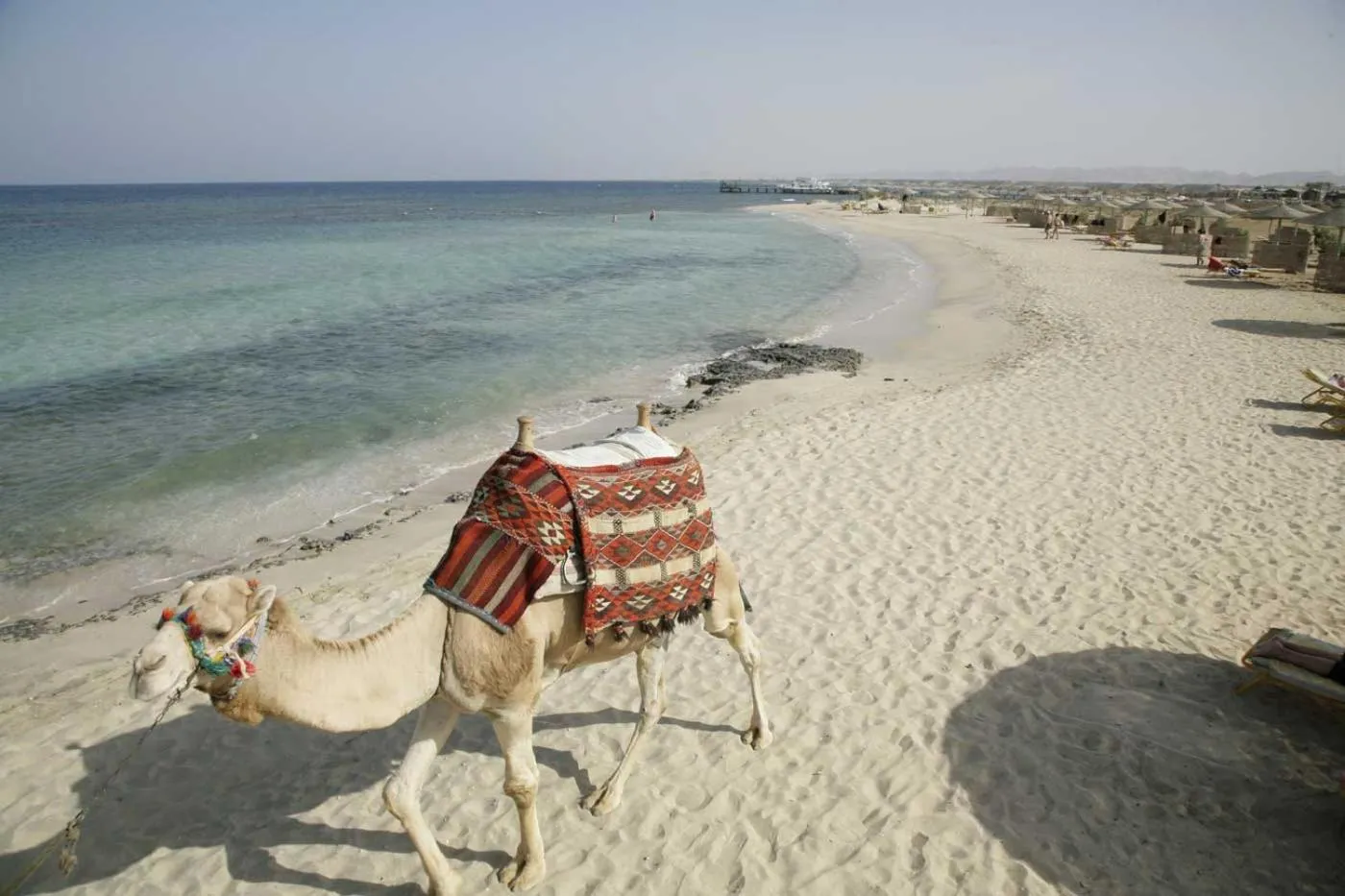 Beach in Shams Alam Beach Resort