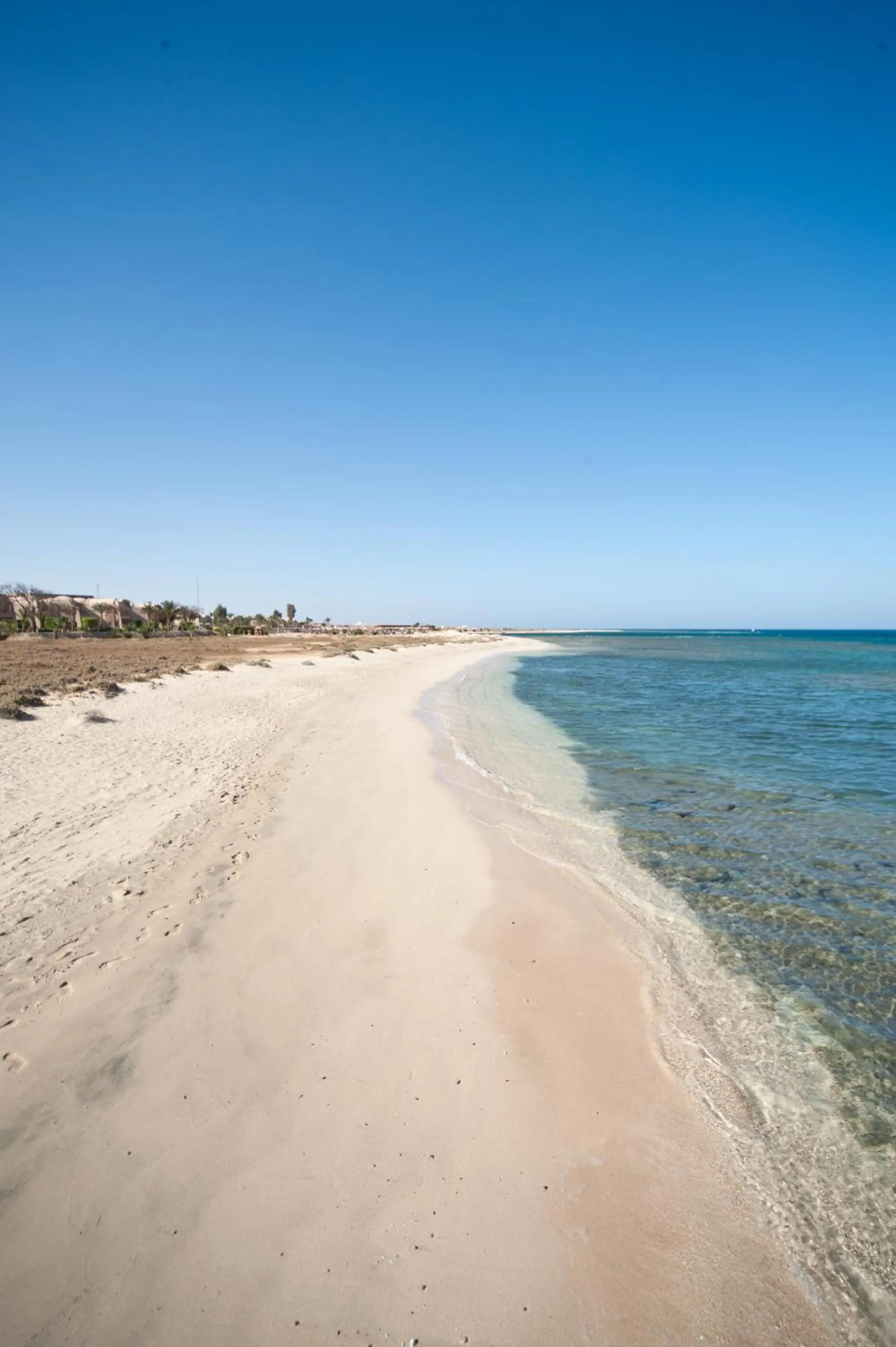 Natural landscape in Shams Alam Beach Resort