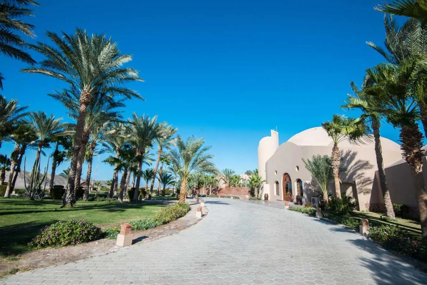 Garden in Shams Alam Beach Resort