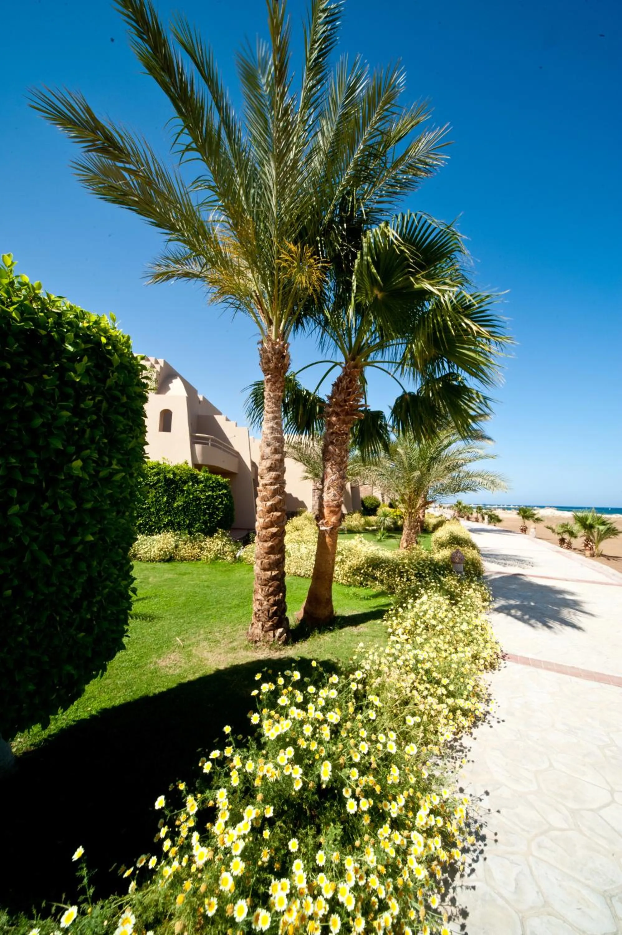 Garden in Shams Alam Beach Resort