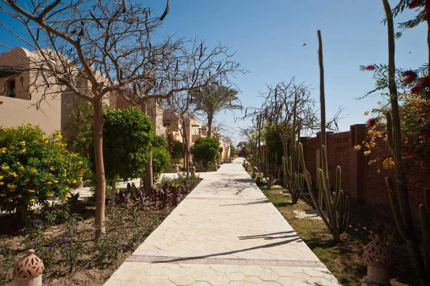 sunbed in Shams Alam Beach Resort