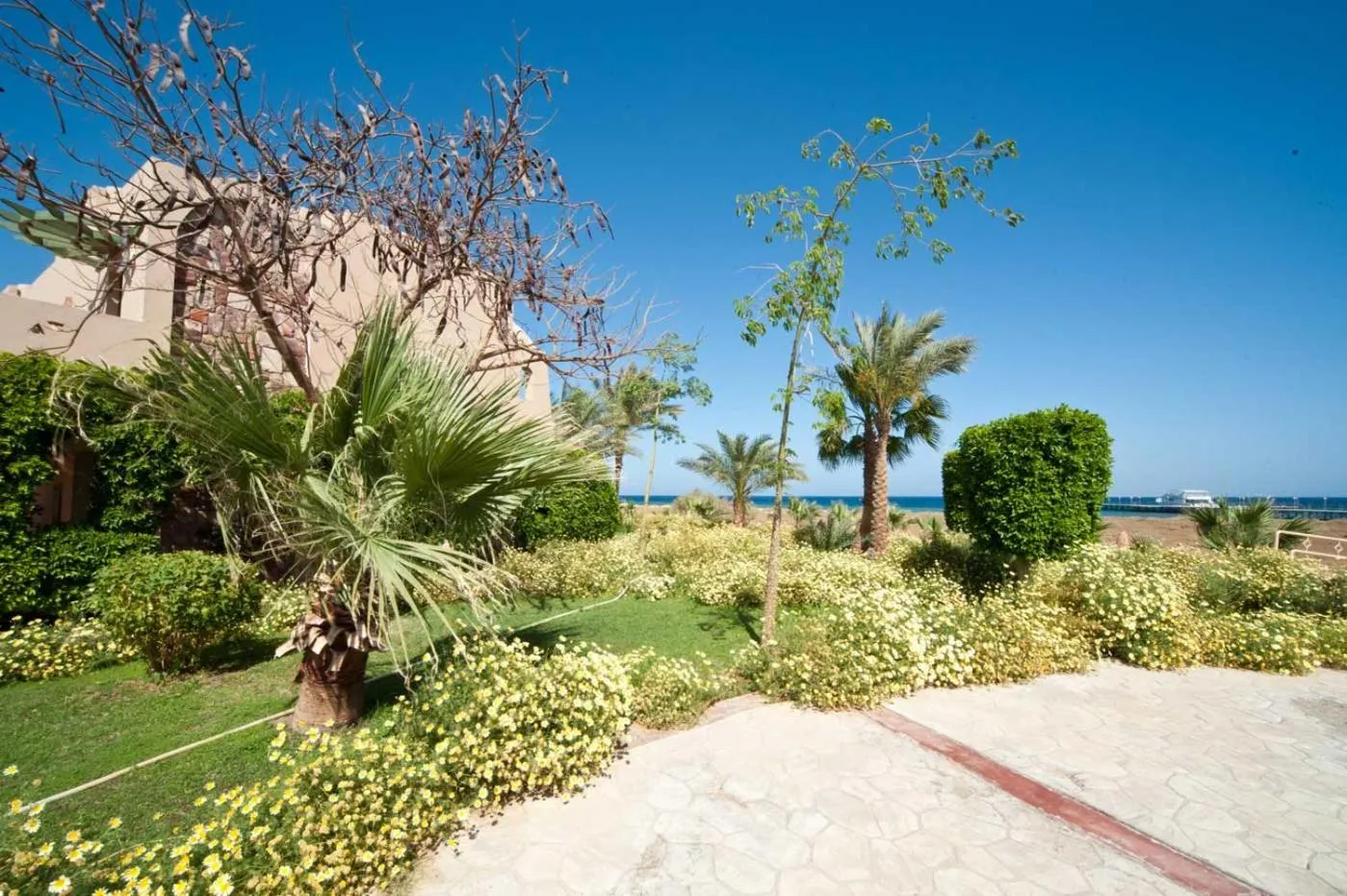 Garden in Shams Alam Beach Resort