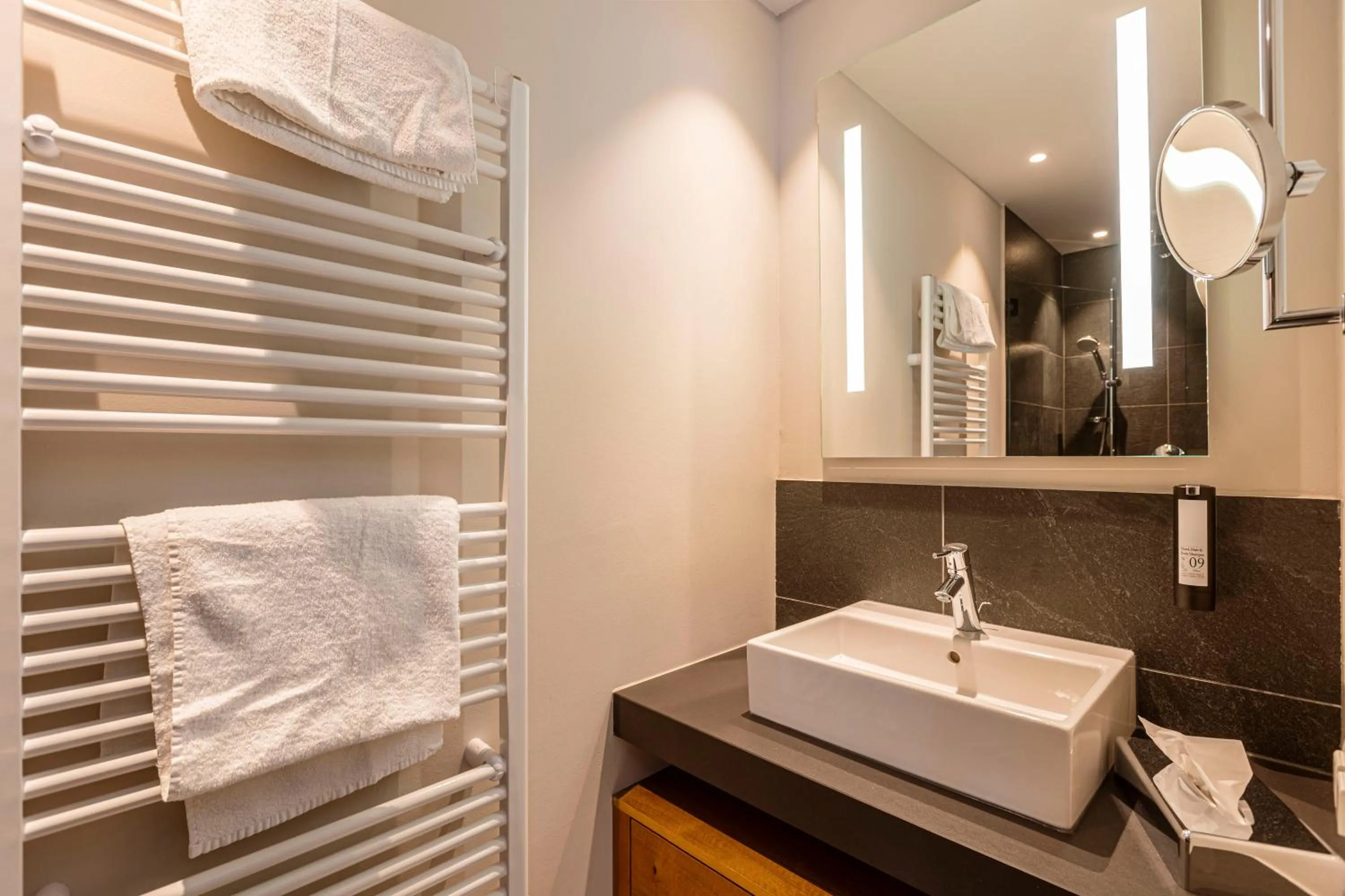 Bathroom in Bergresort Zugspitze Ehrwald by ALPS RESORTS