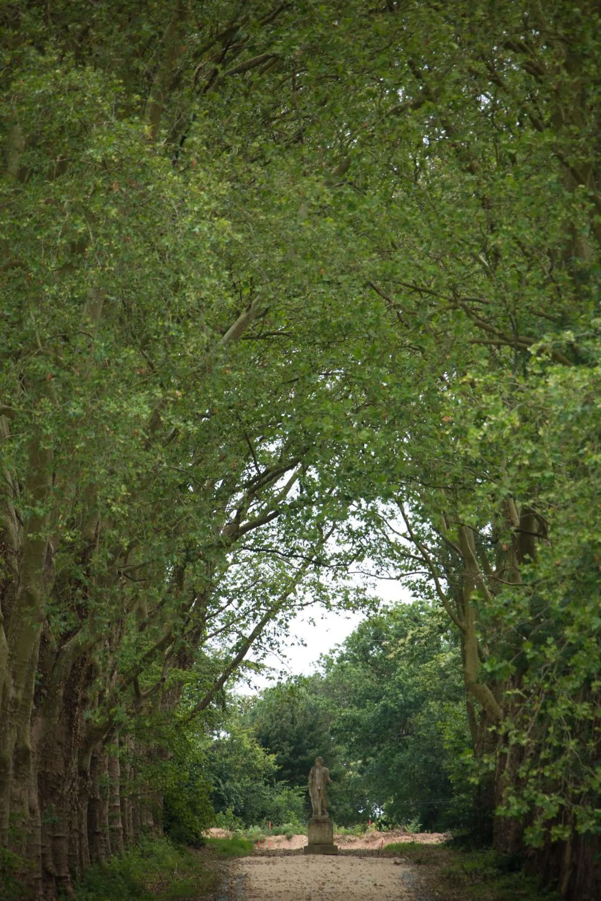Natural landscape in Alexandra Palace - La Maison Younan