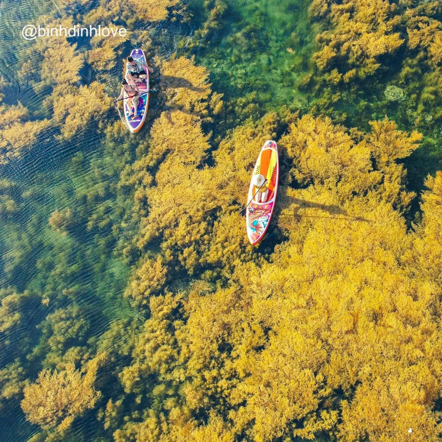 Other in Xavia Hotel Quy Nhơn