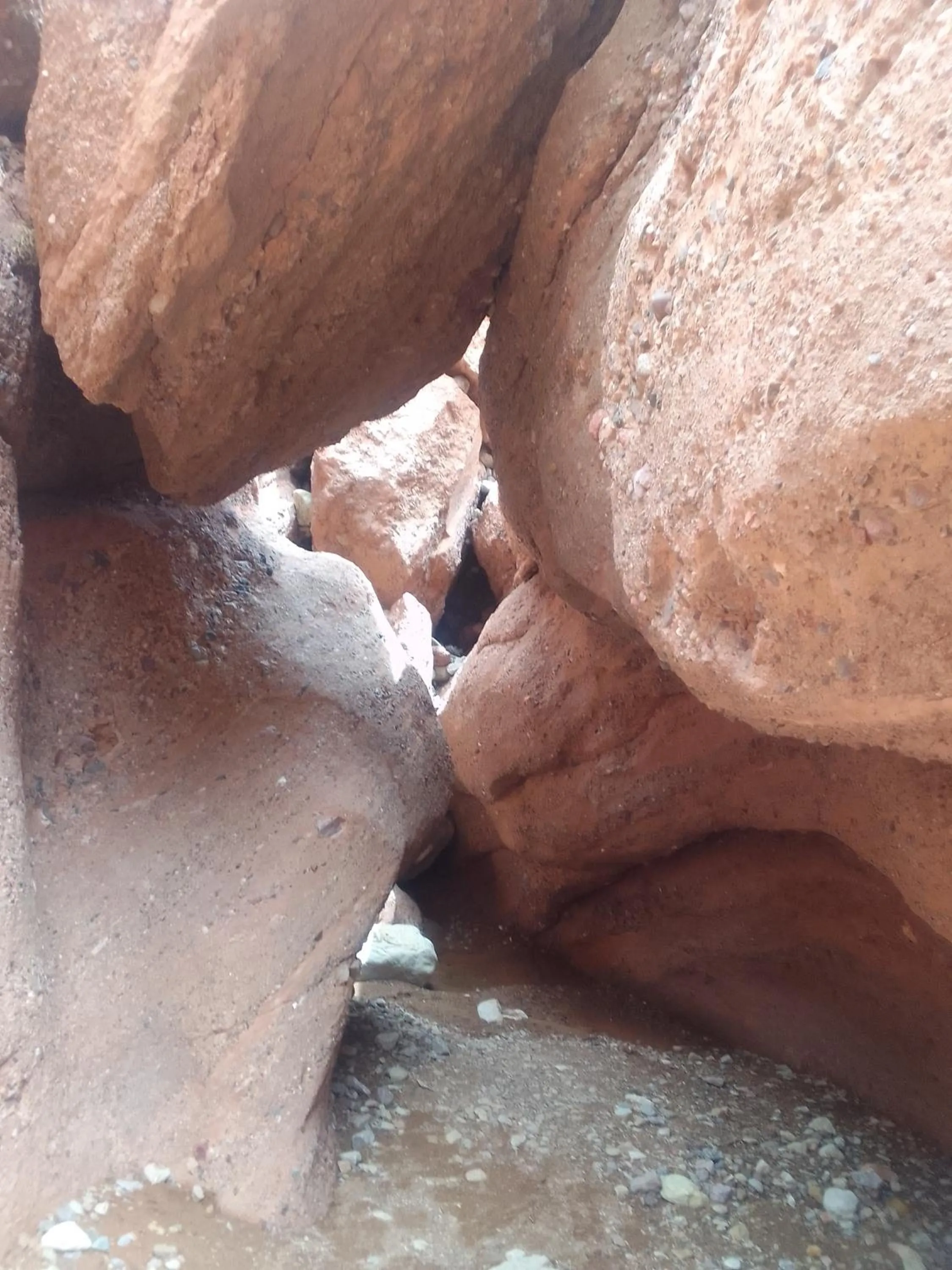 Day in Maison D'hote Amazir DADES