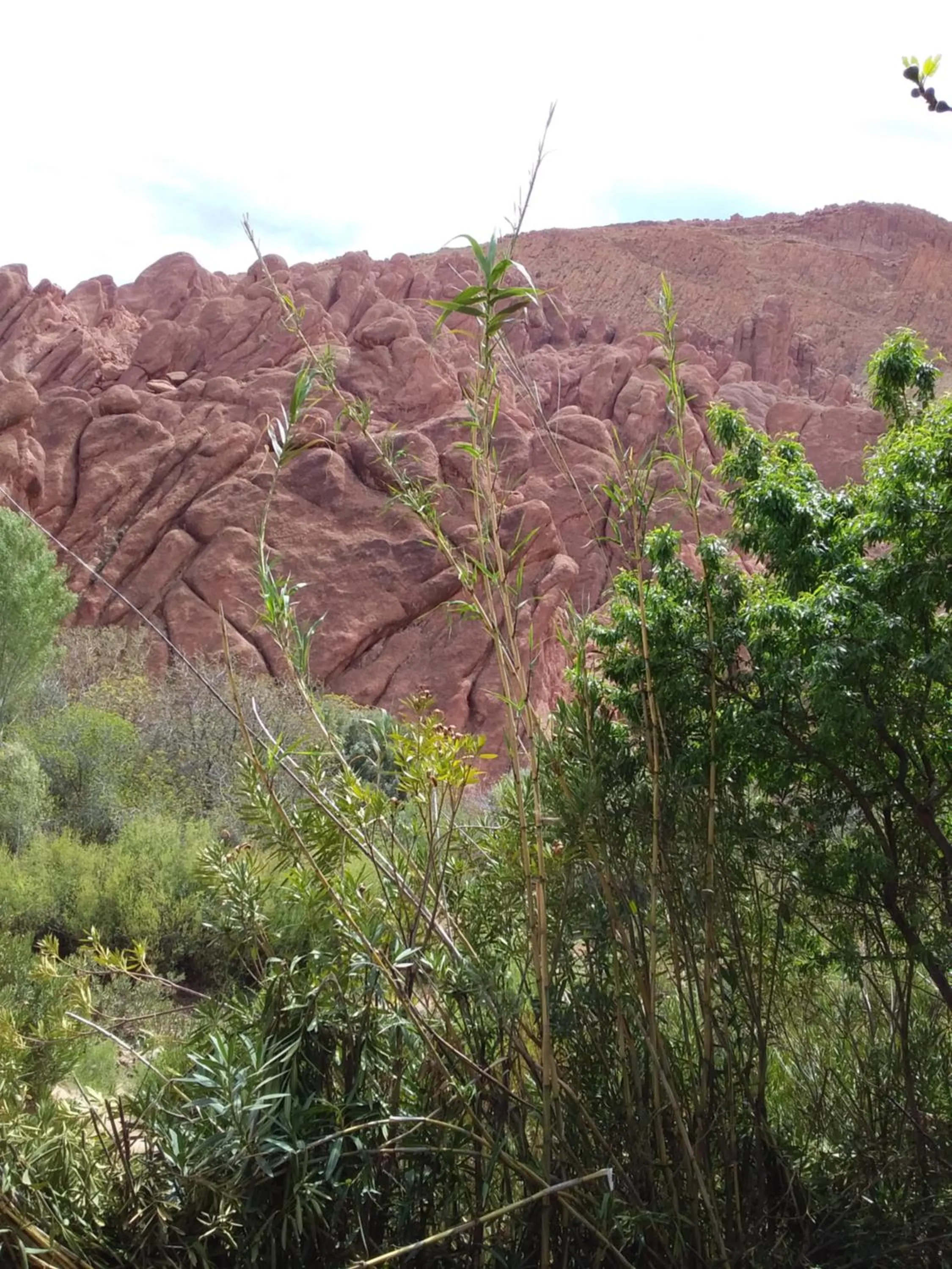 Nearby landmark in Maison D'hote Amazir DADES