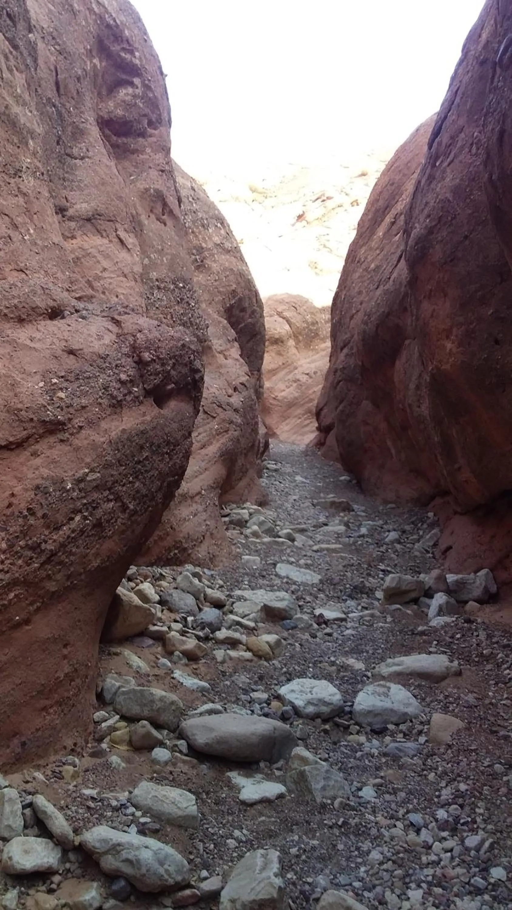 Natural landscape in Maison D'hote Amazir DADES