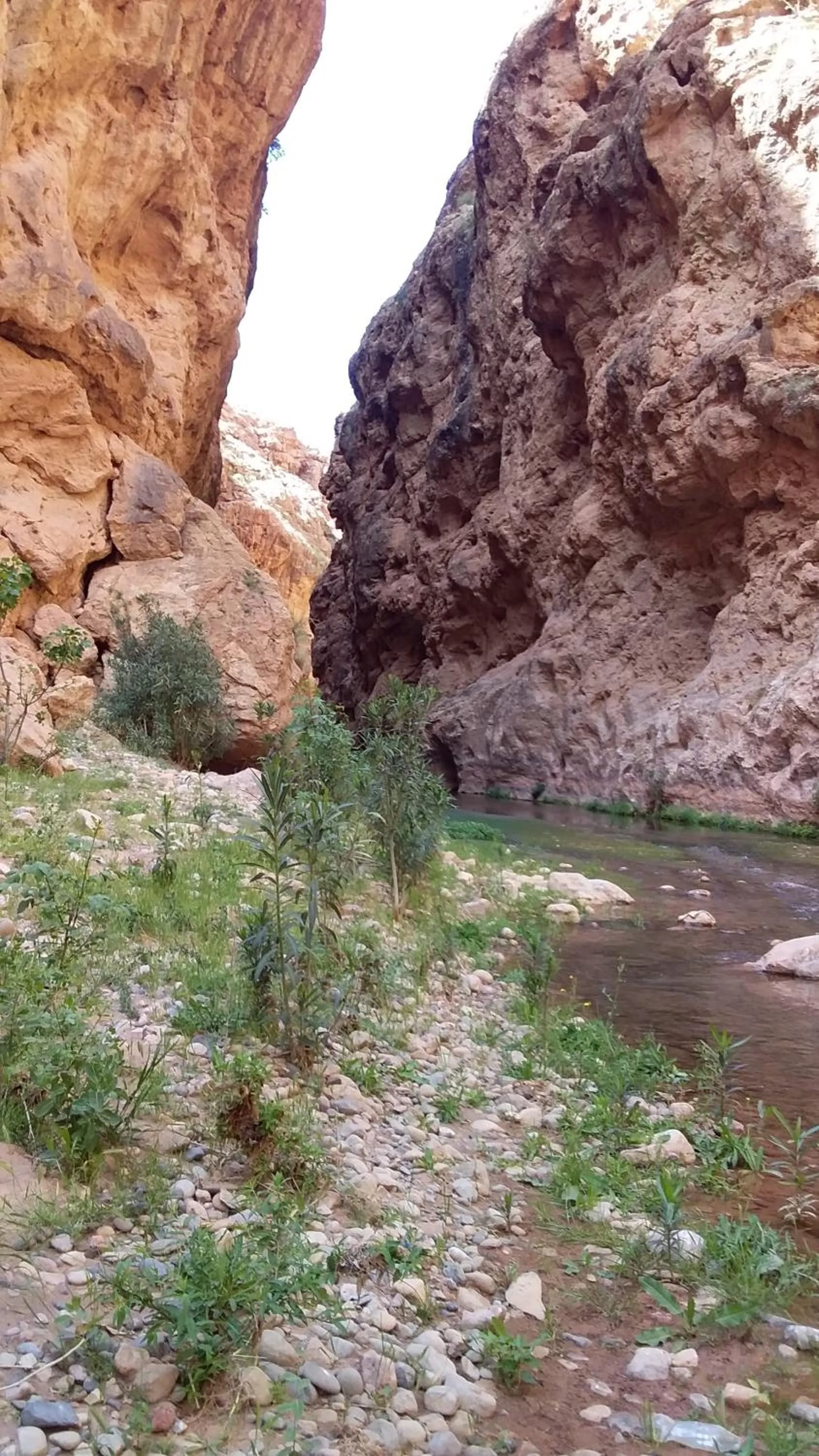 Natural landscape in Maison D'hote Amazir DADES