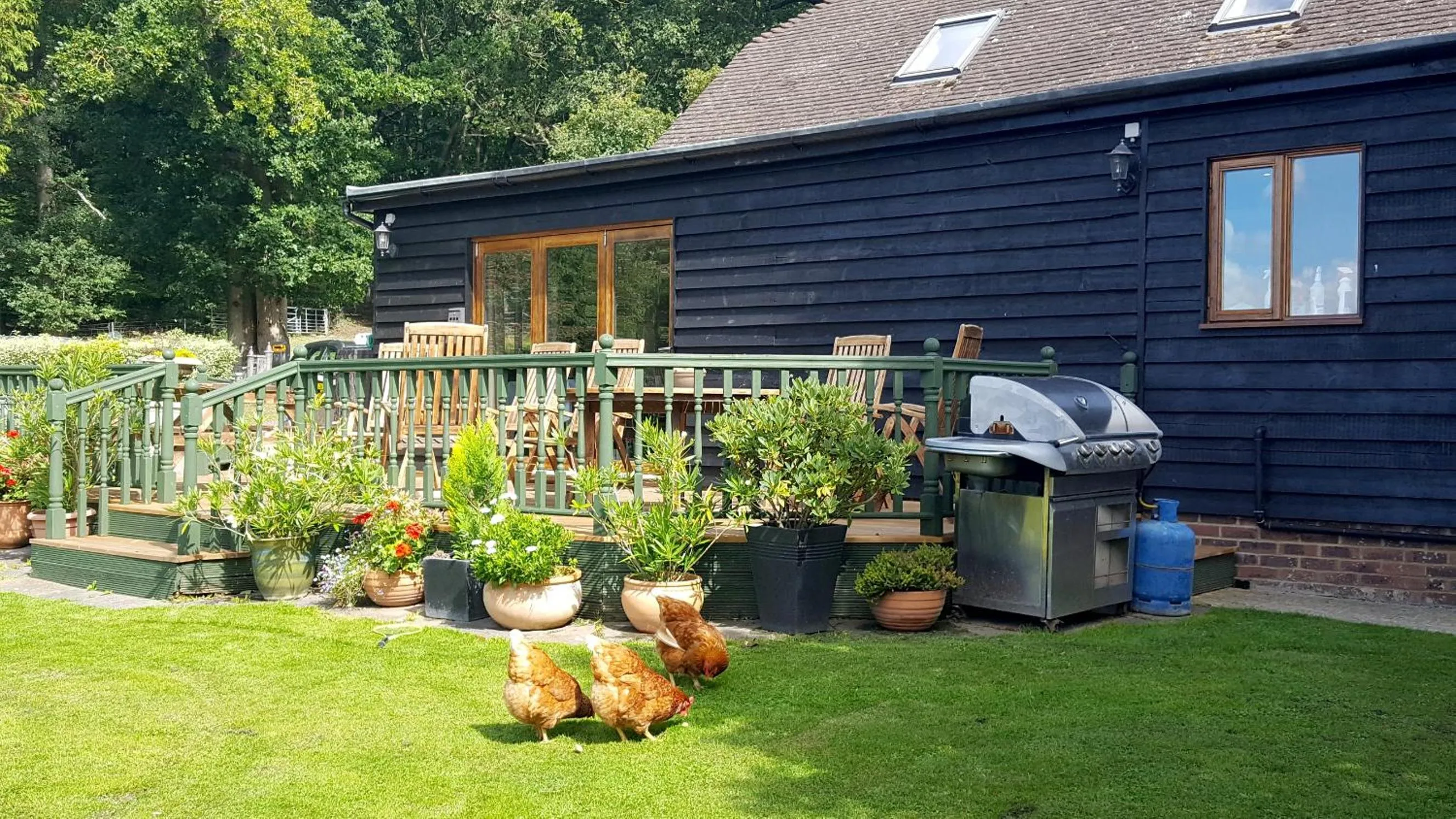 Garden in Oakside Lodge Guest House