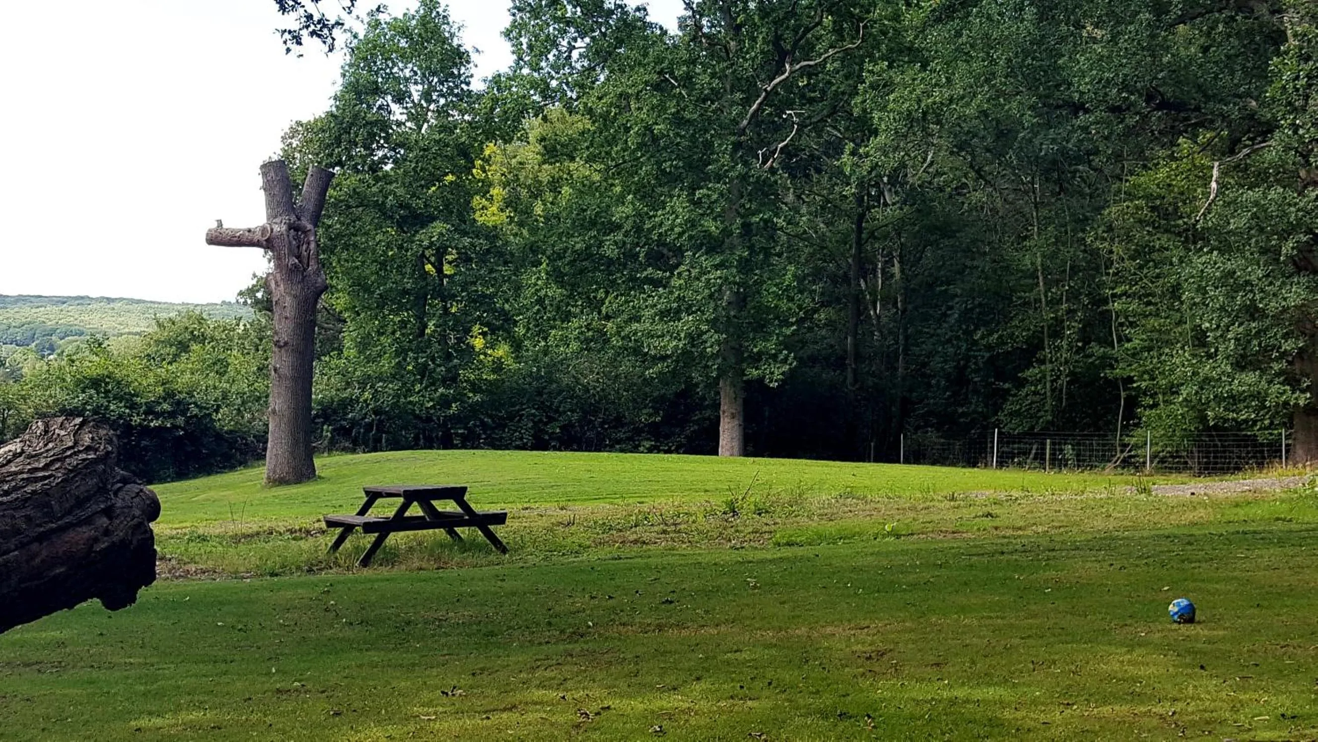 Natural landscape in Oakside Lodge Guest House