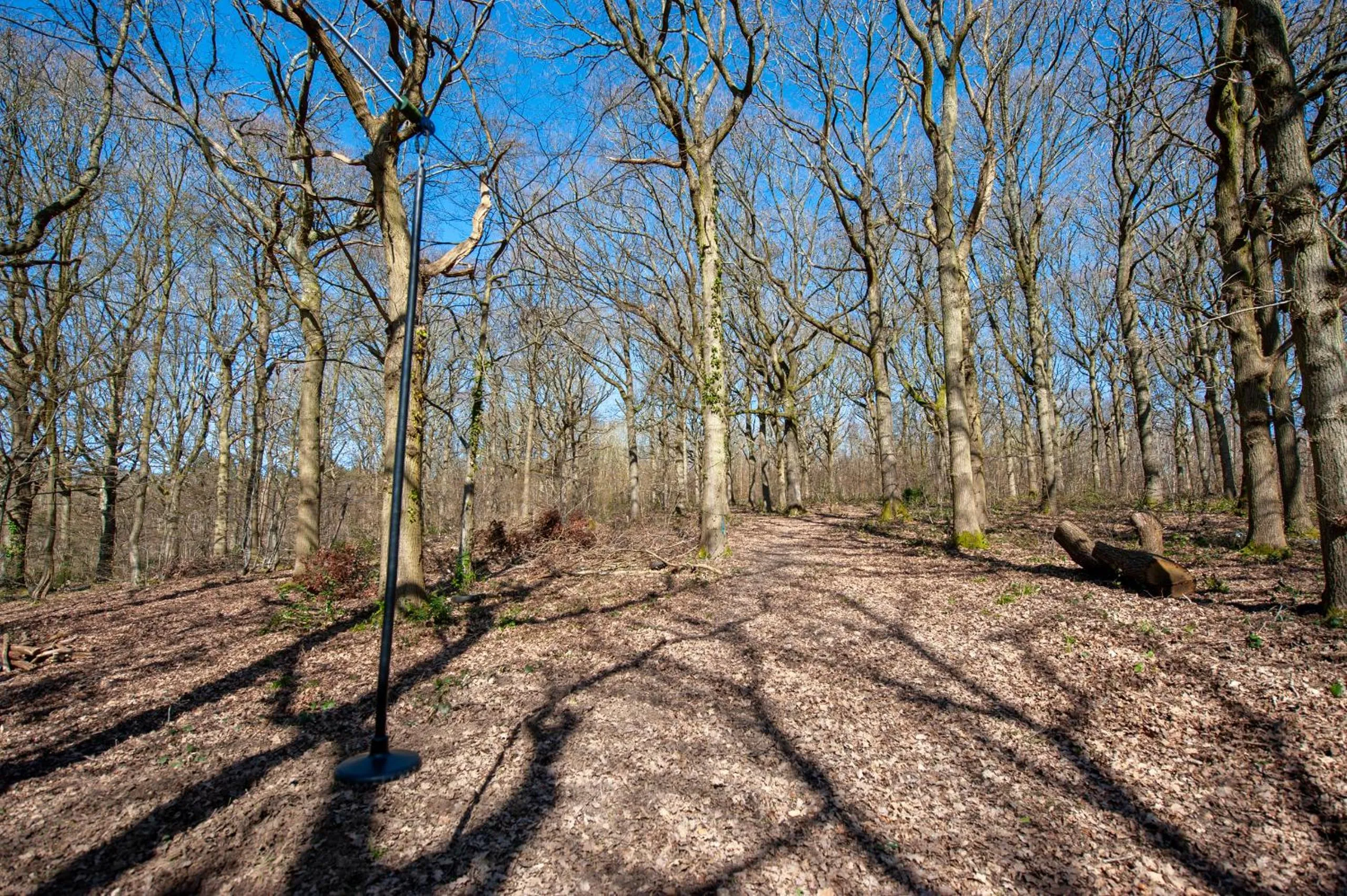 Other in Oakside Lodge Guest House
