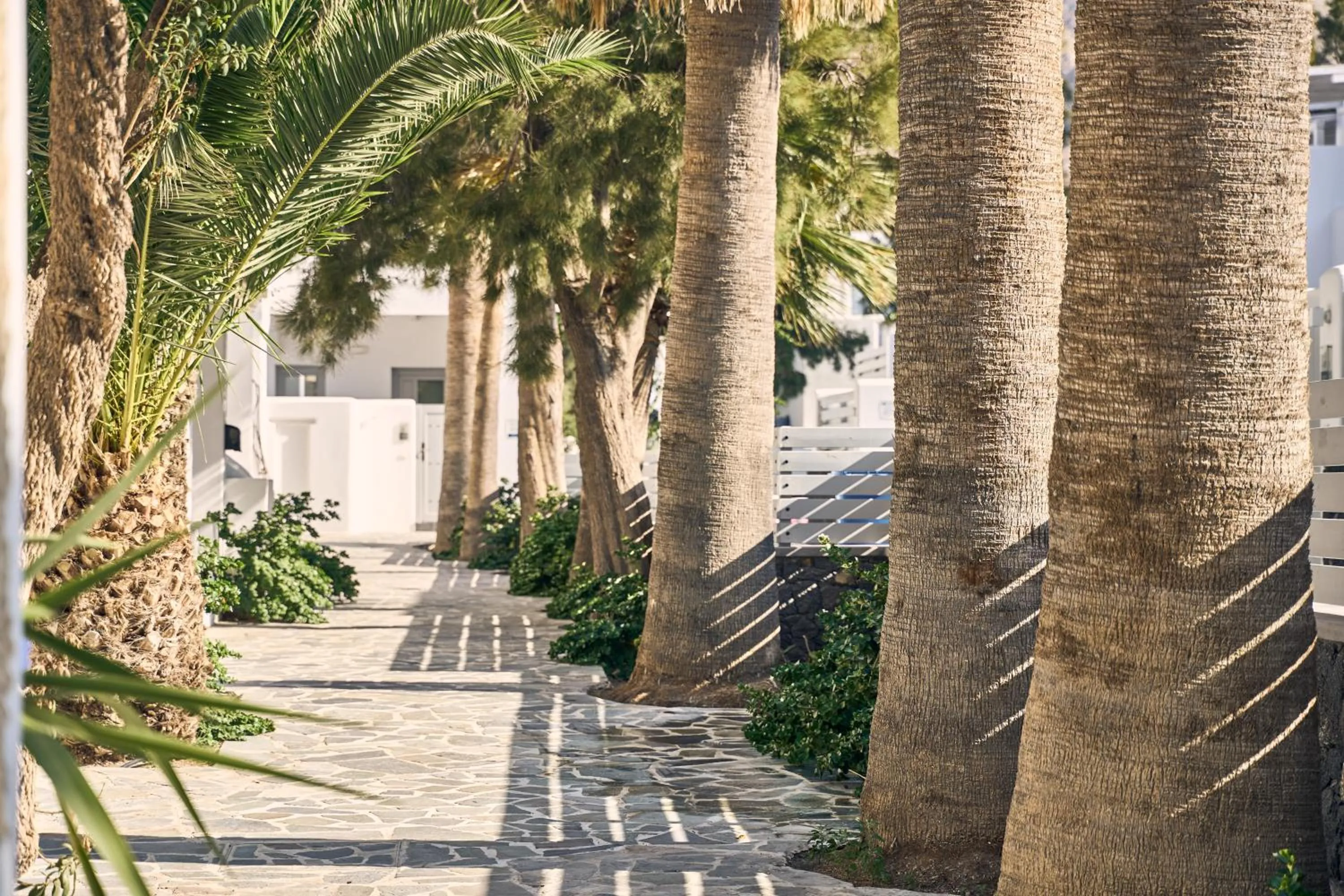 Garden in Meltemi Village Hotel