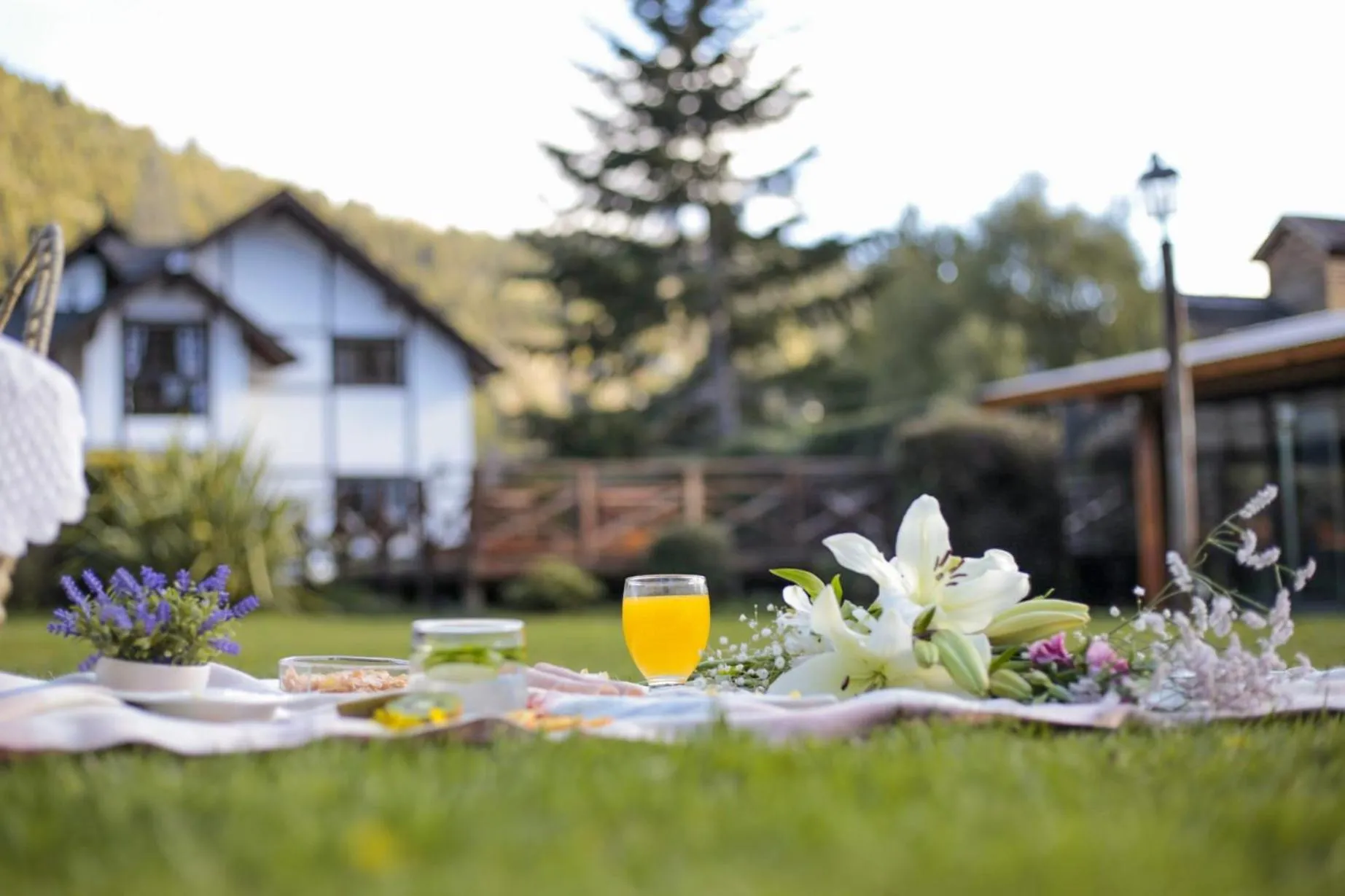 Garden in Apart & Hotel La Fontaine - by ROTUI