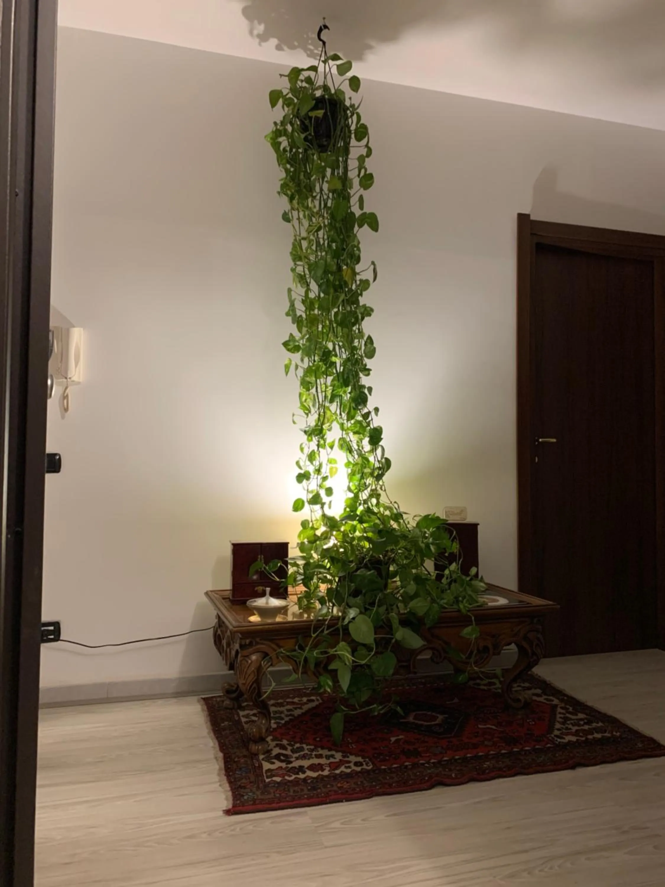 Residence San Pietro Book sharing