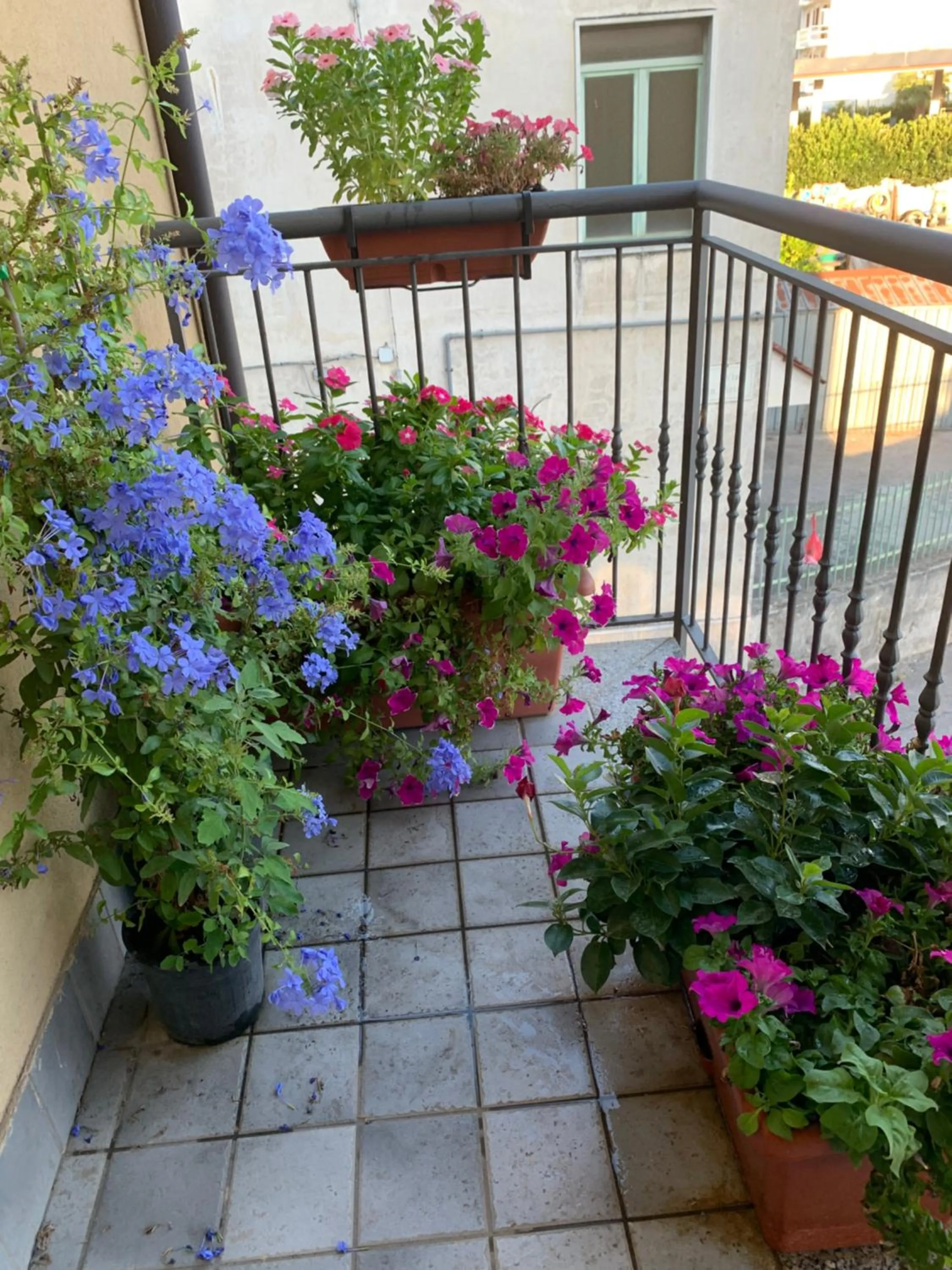 Residence San Pietro Book sharing