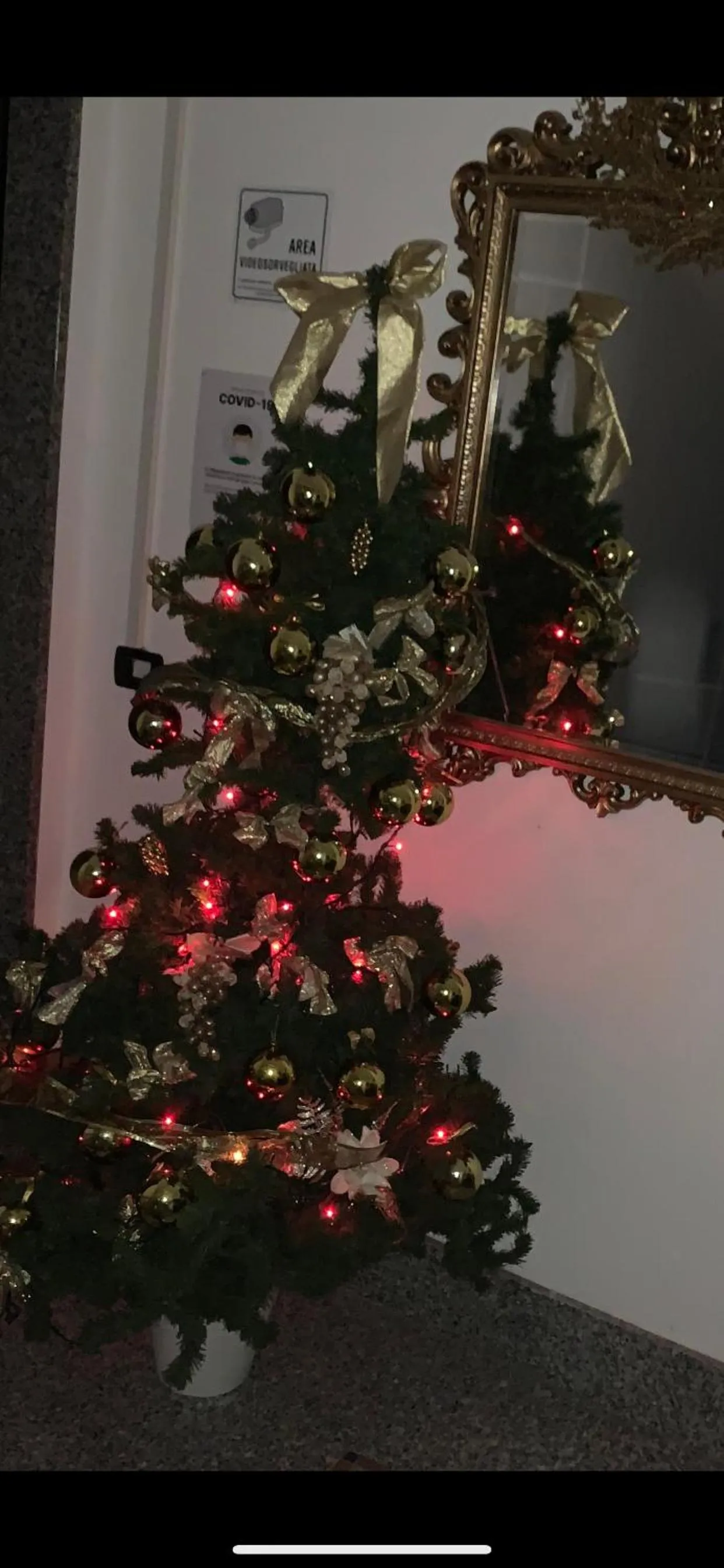 Residence San Pietro Book sharing