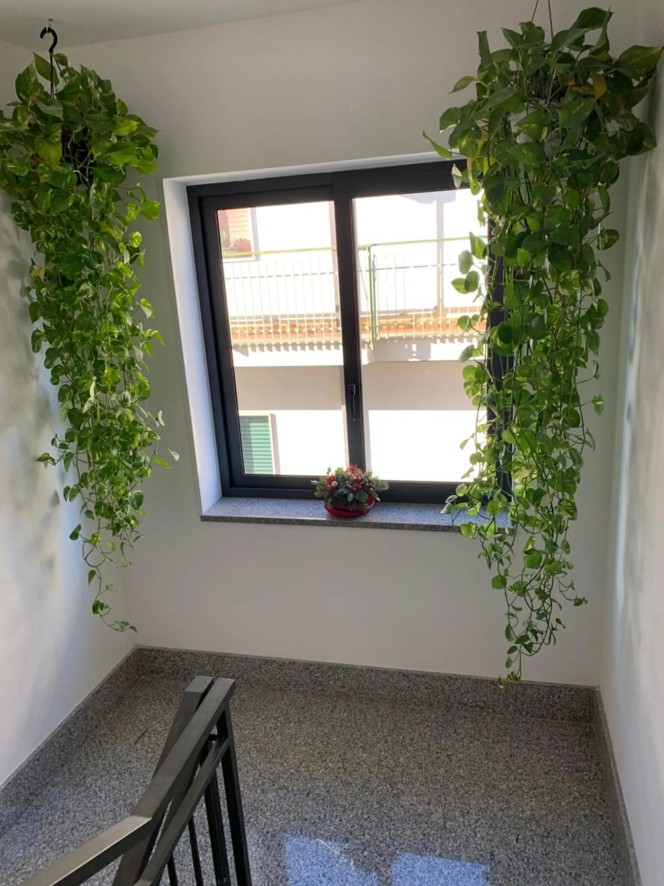 Residence San Pietro Book sharing