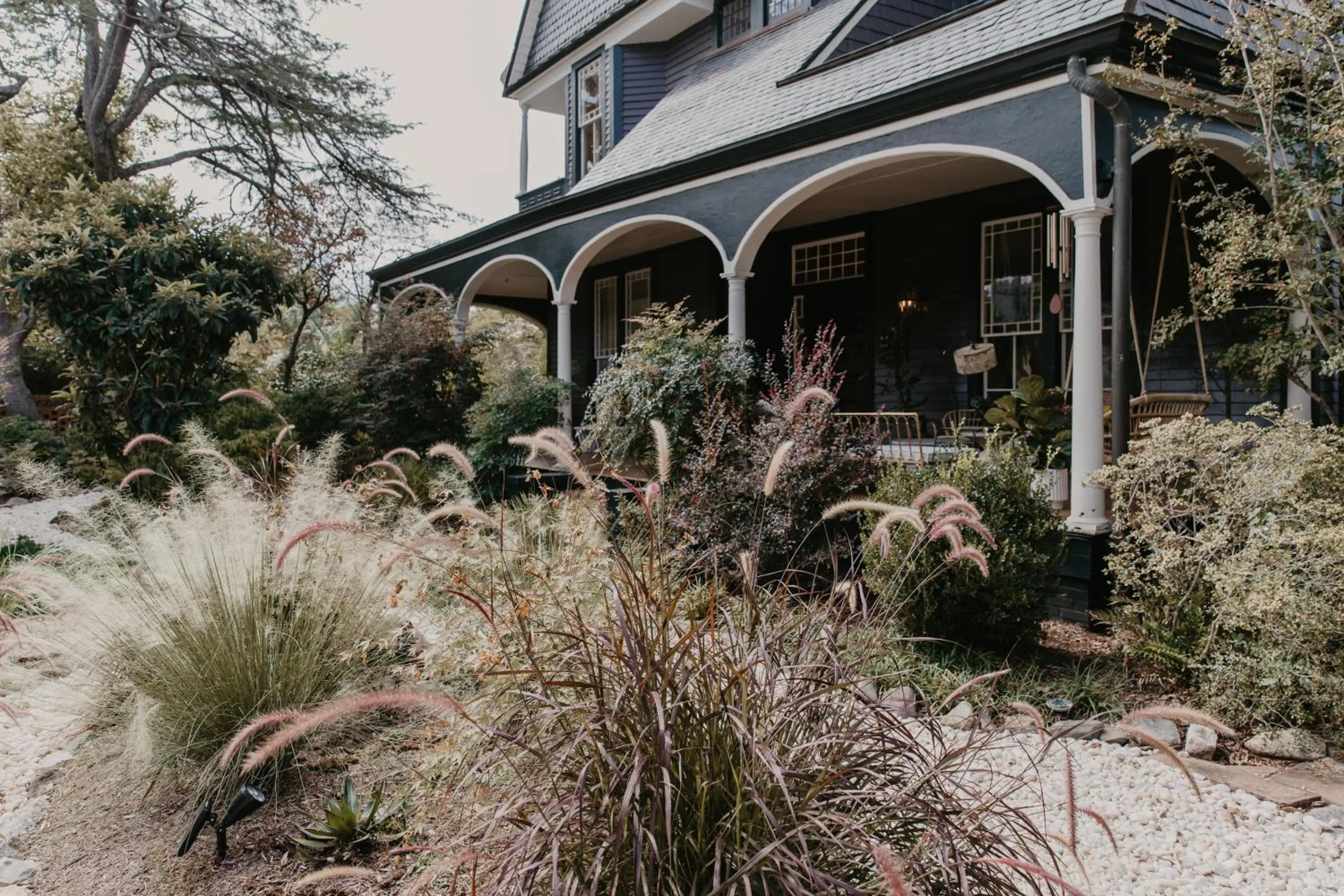 Garden in DREAMERS bnb