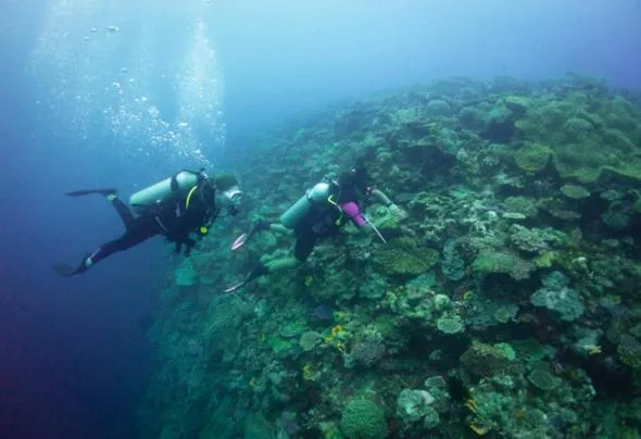Snorkeling in Loloata Island Resort