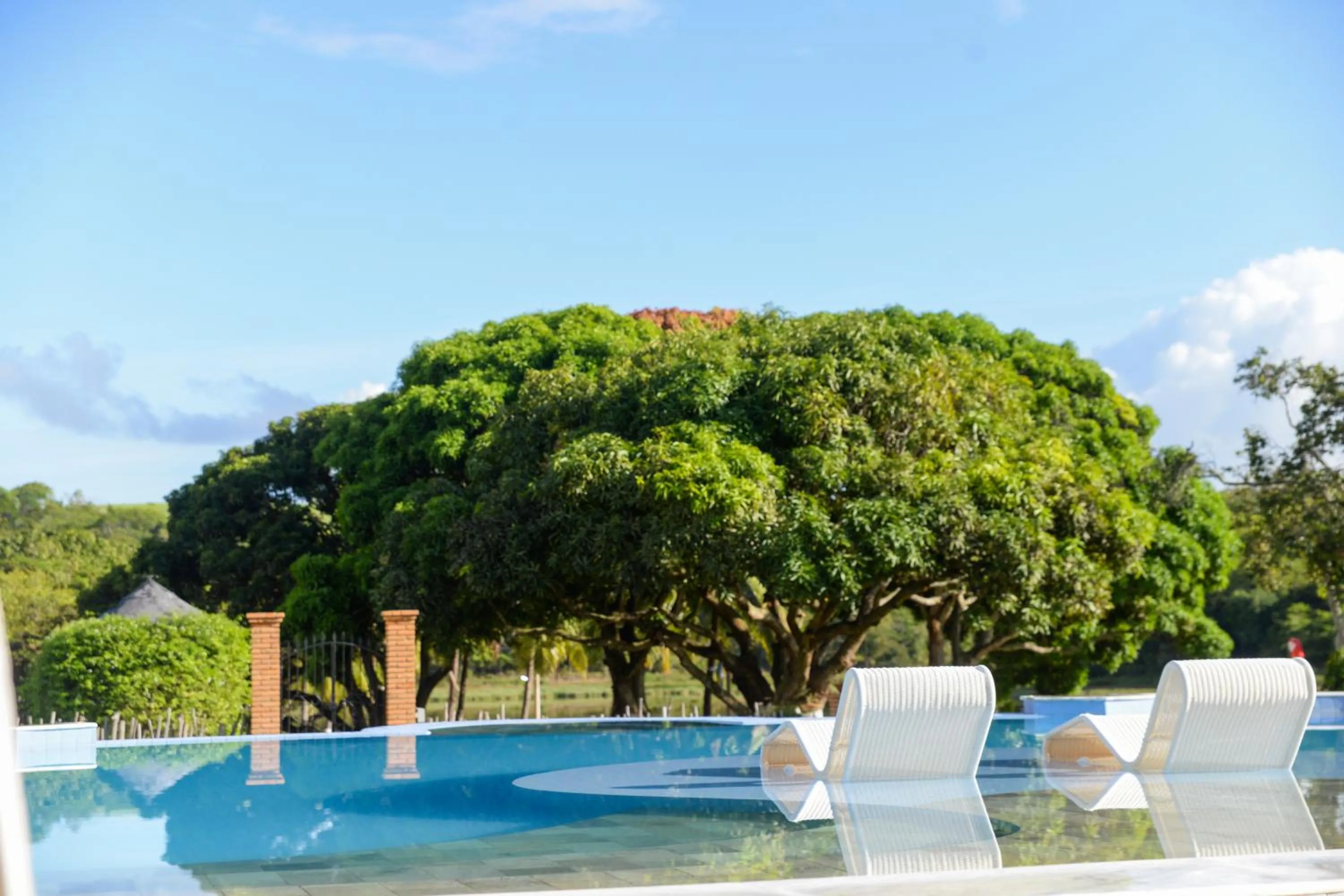 Garden view in Fazenda Fiore Resort