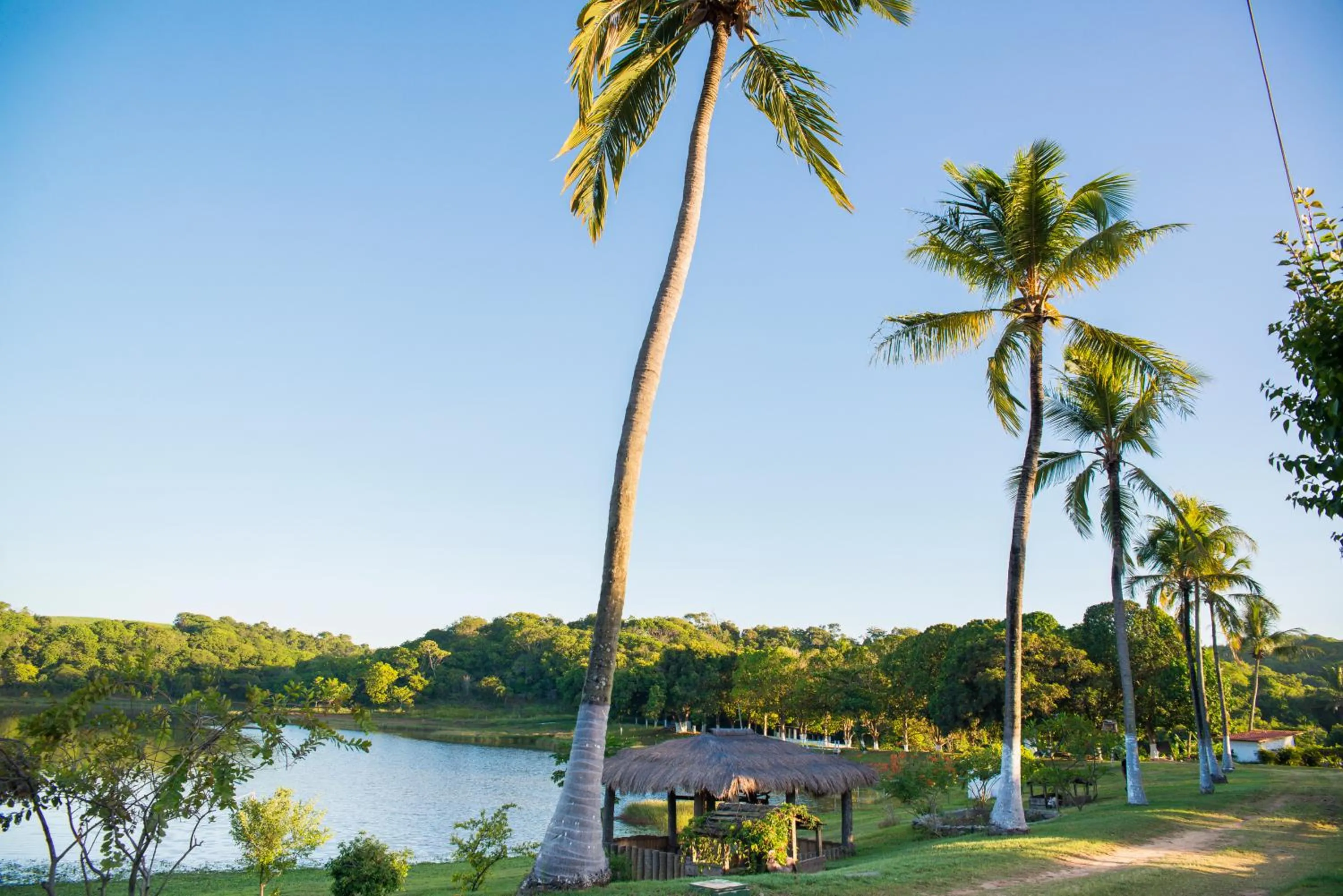 Garden view in Fazenda Fiore Resort