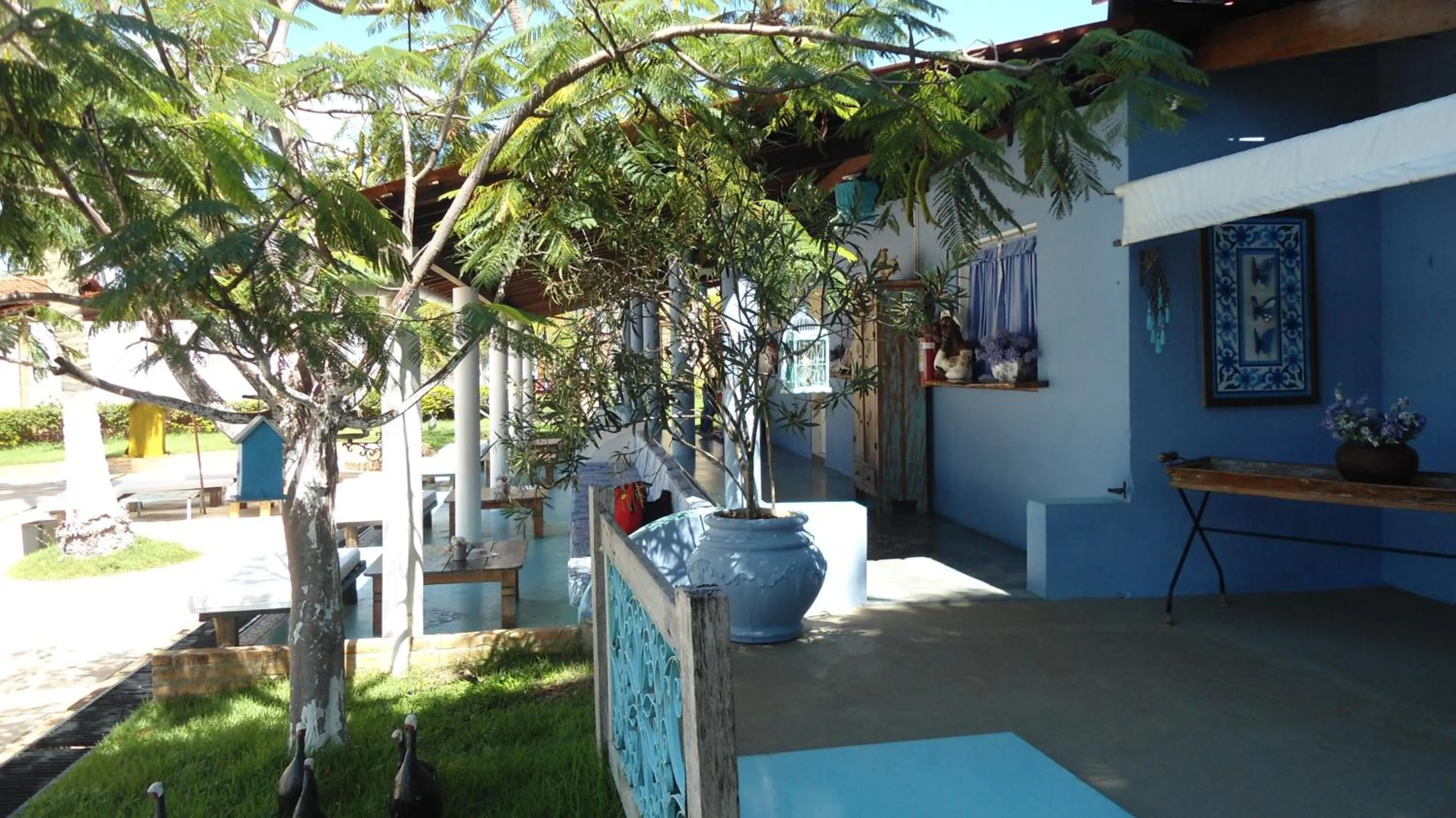 Lounge or bar in Fazenda Fiore Resort