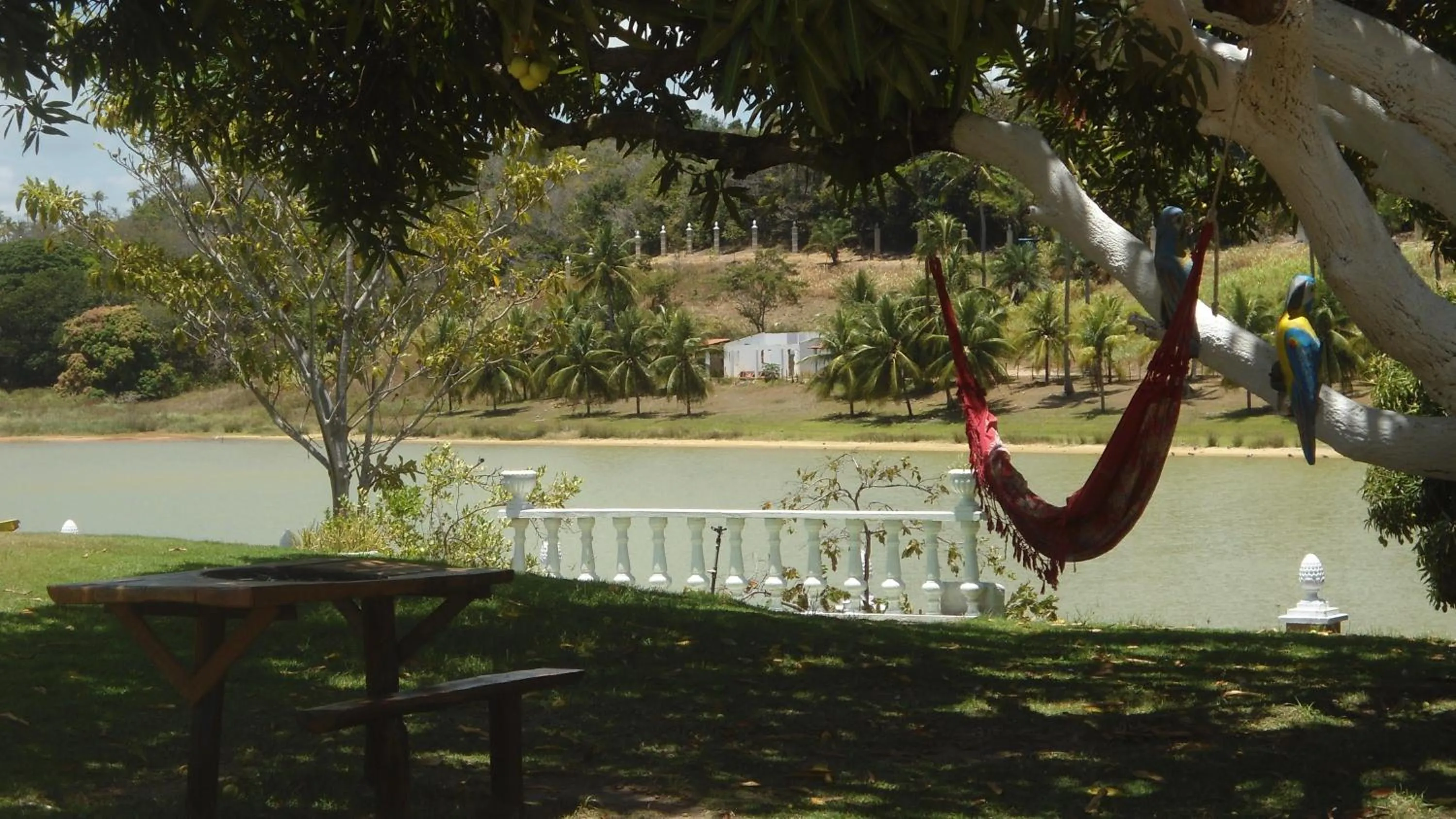 Lake view in Fazenda Fiore Resort