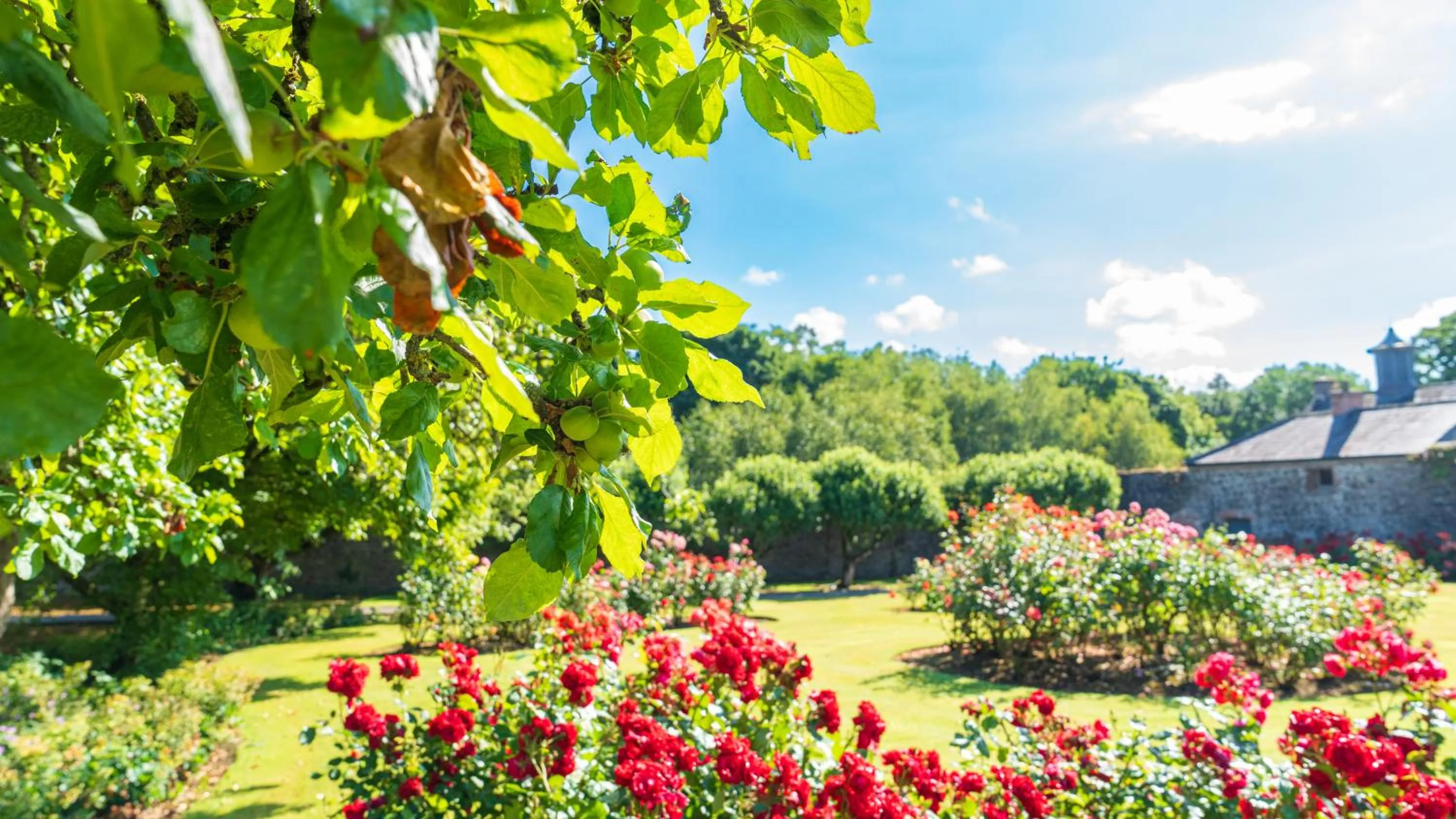 Natural landscape in Ballymascanlon Hotel and Golf Resort