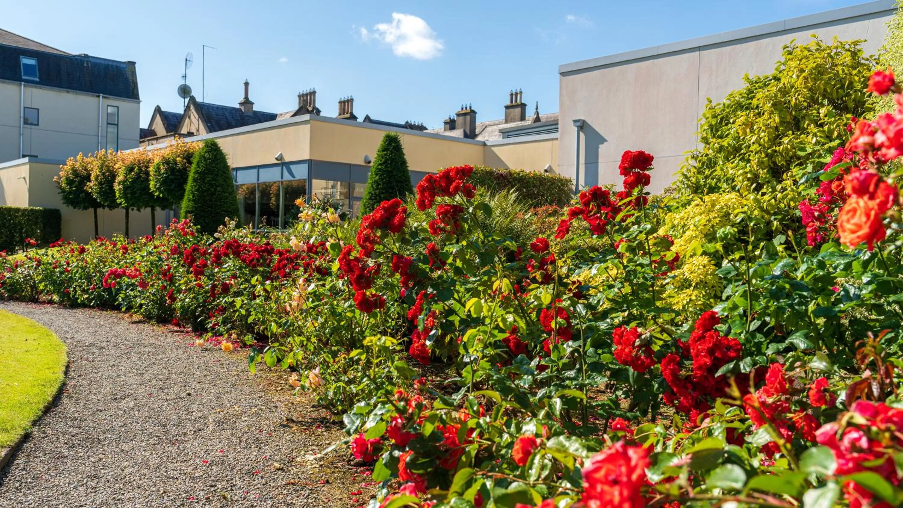 Garden in Ballymascanlon Hotel and Golf Resort