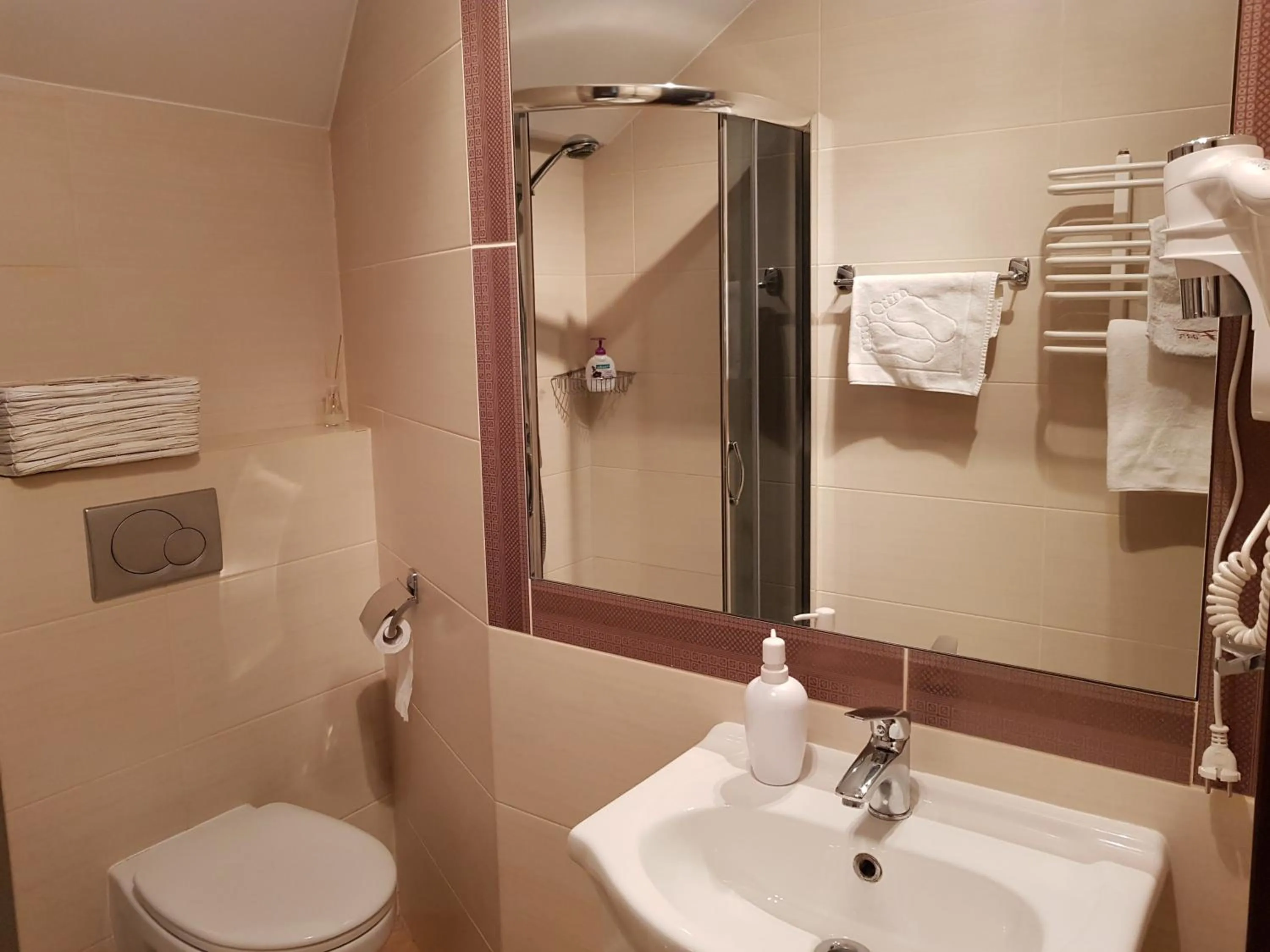 Shower in Pokoje De Luxe Figaro