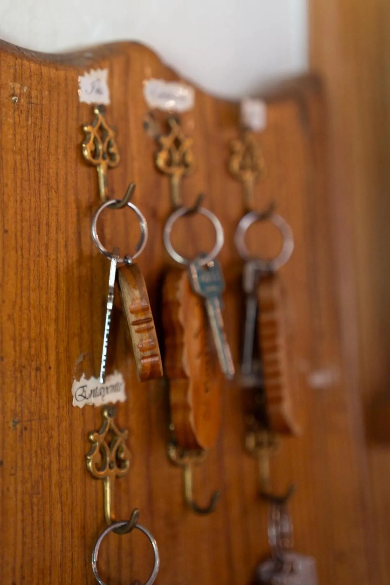 Lobby or reception in Garden & City Bagnères-de-Bigorre - Domaine de Ramonjuan
