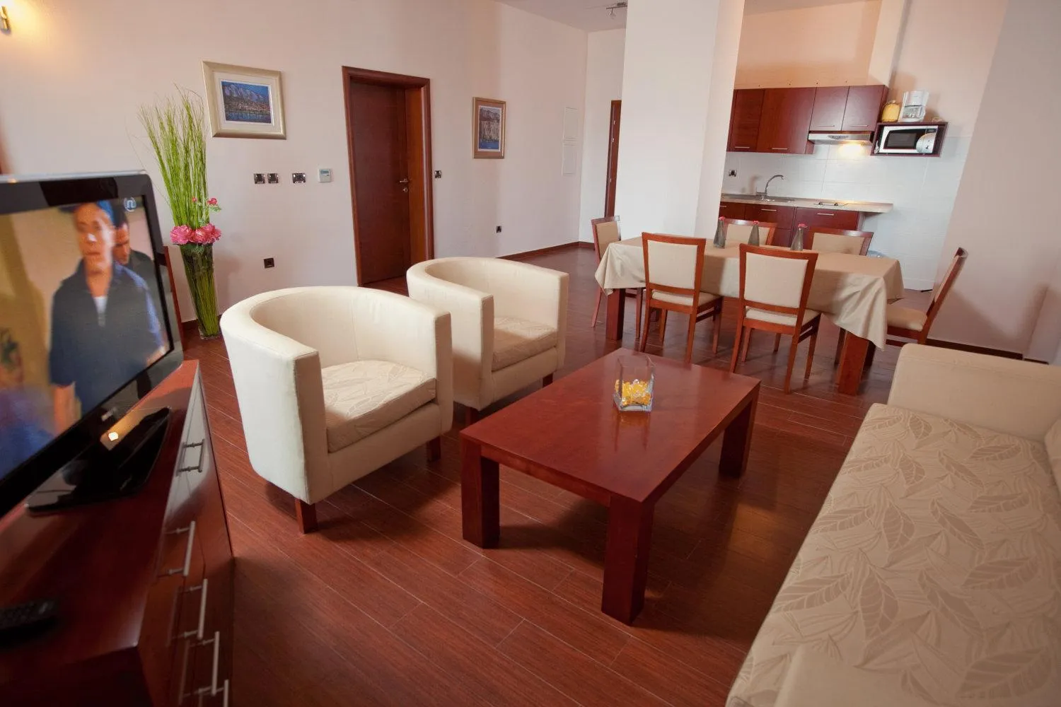 TV and multimedia in Apartments Agava